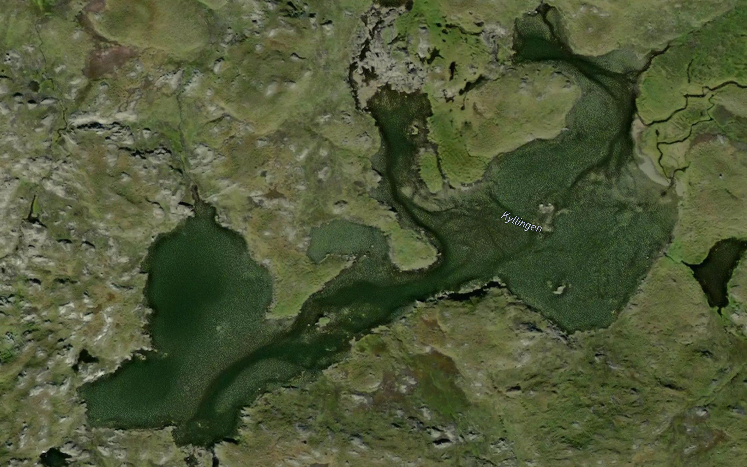 Kyllingen