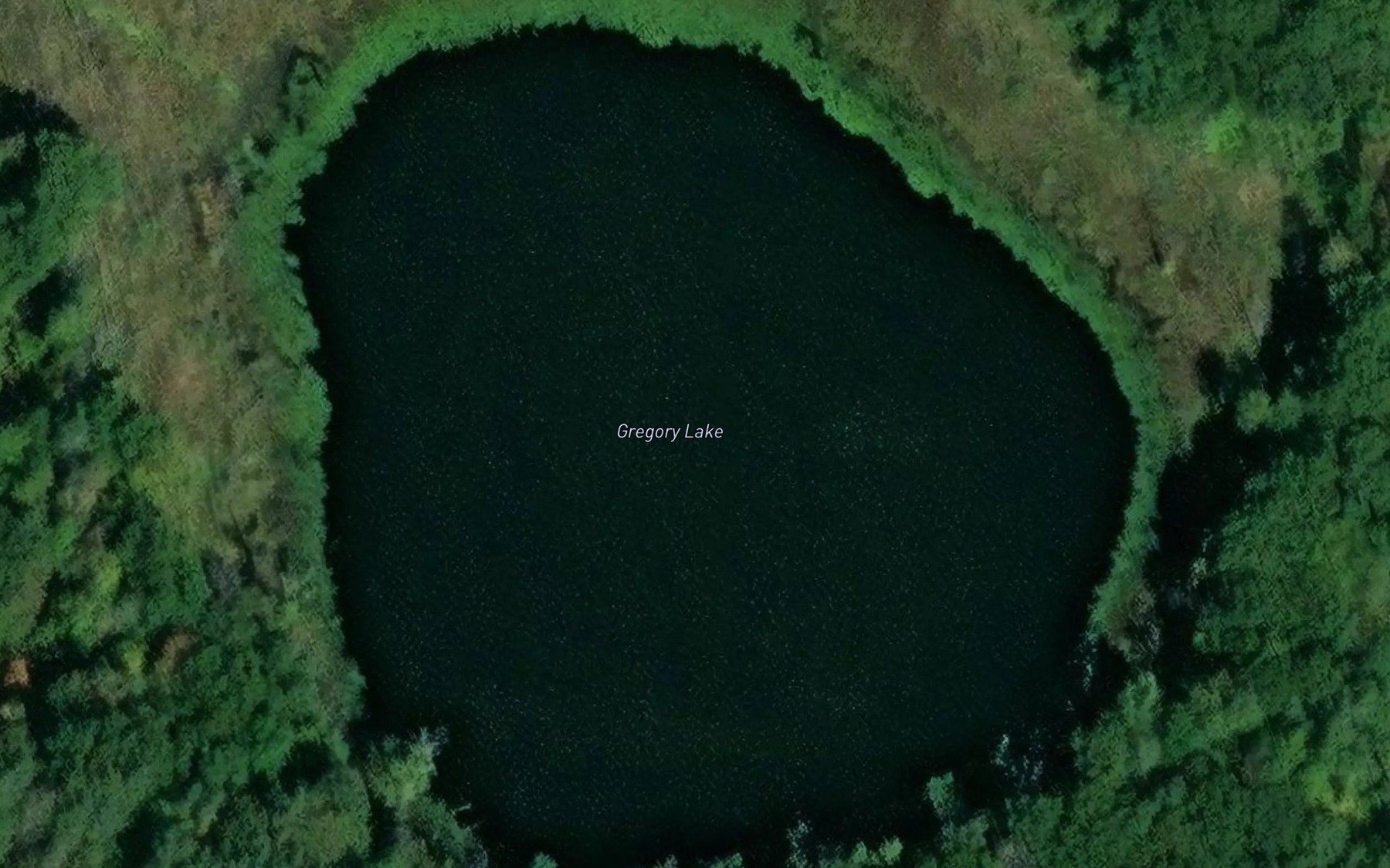 Satellite map of the Gregory Lake