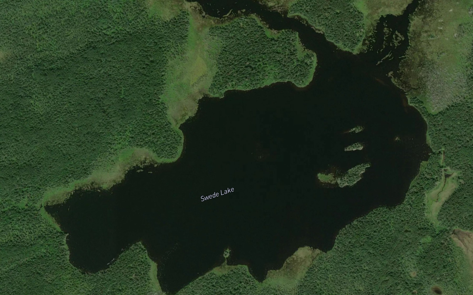 Satellite map of the Swede Lake