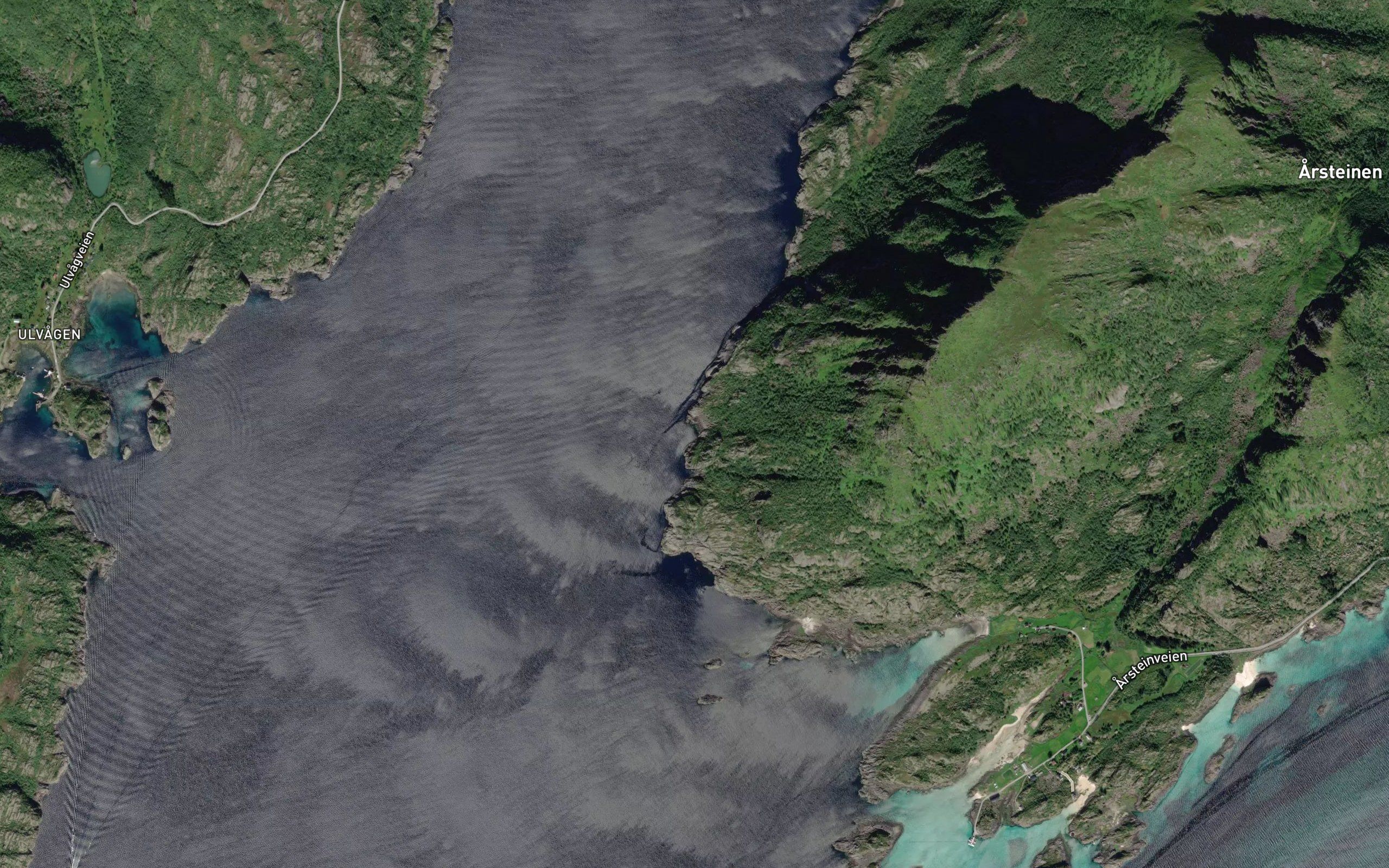 Purkvika