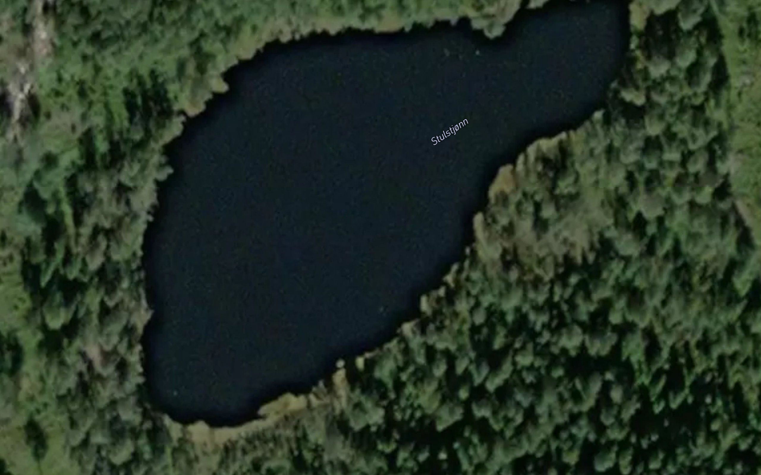 Stulstjorn