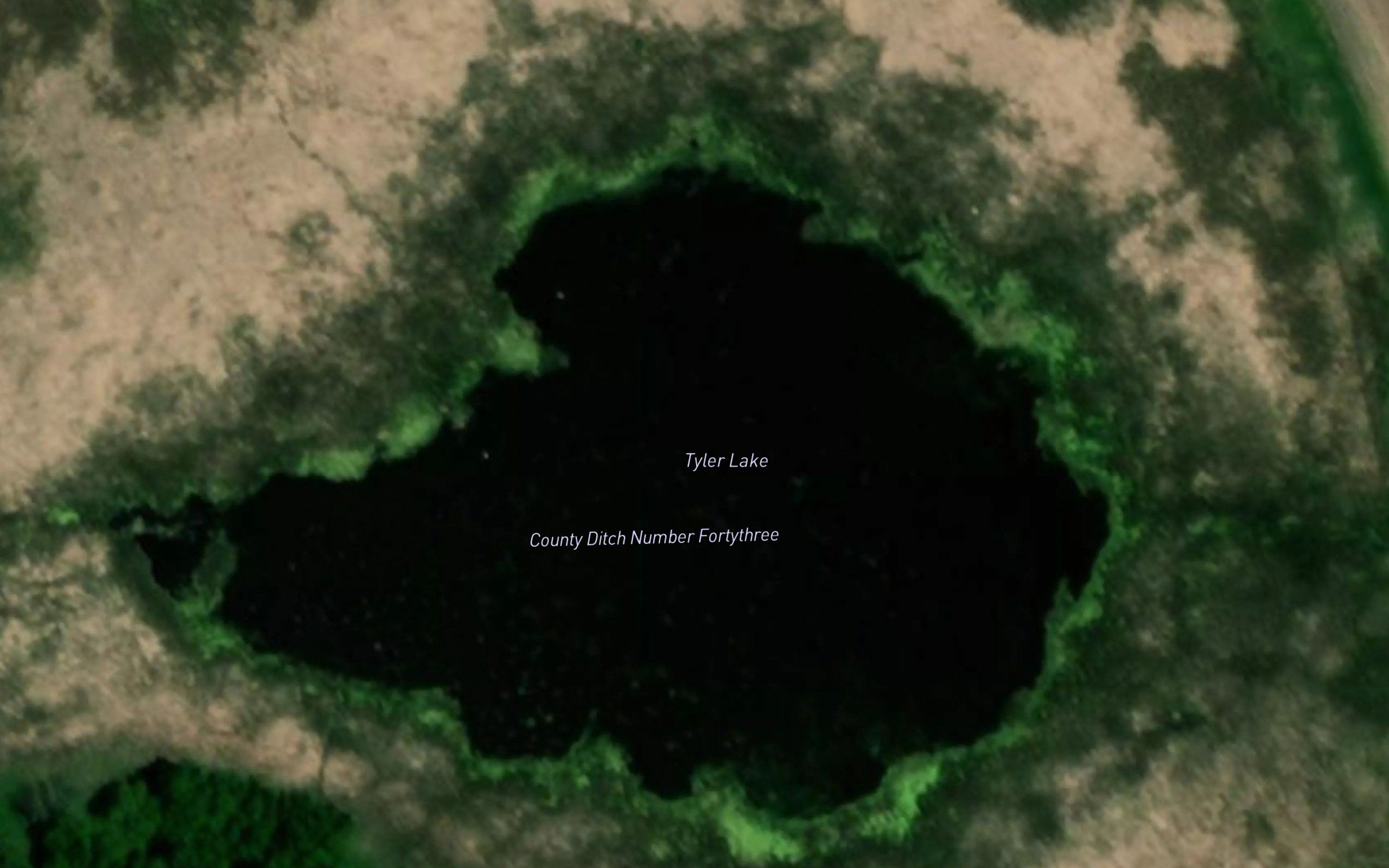 Tyler Lake