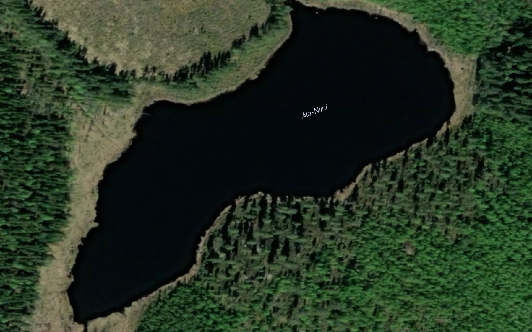 Satellite map of the Ala-Niini