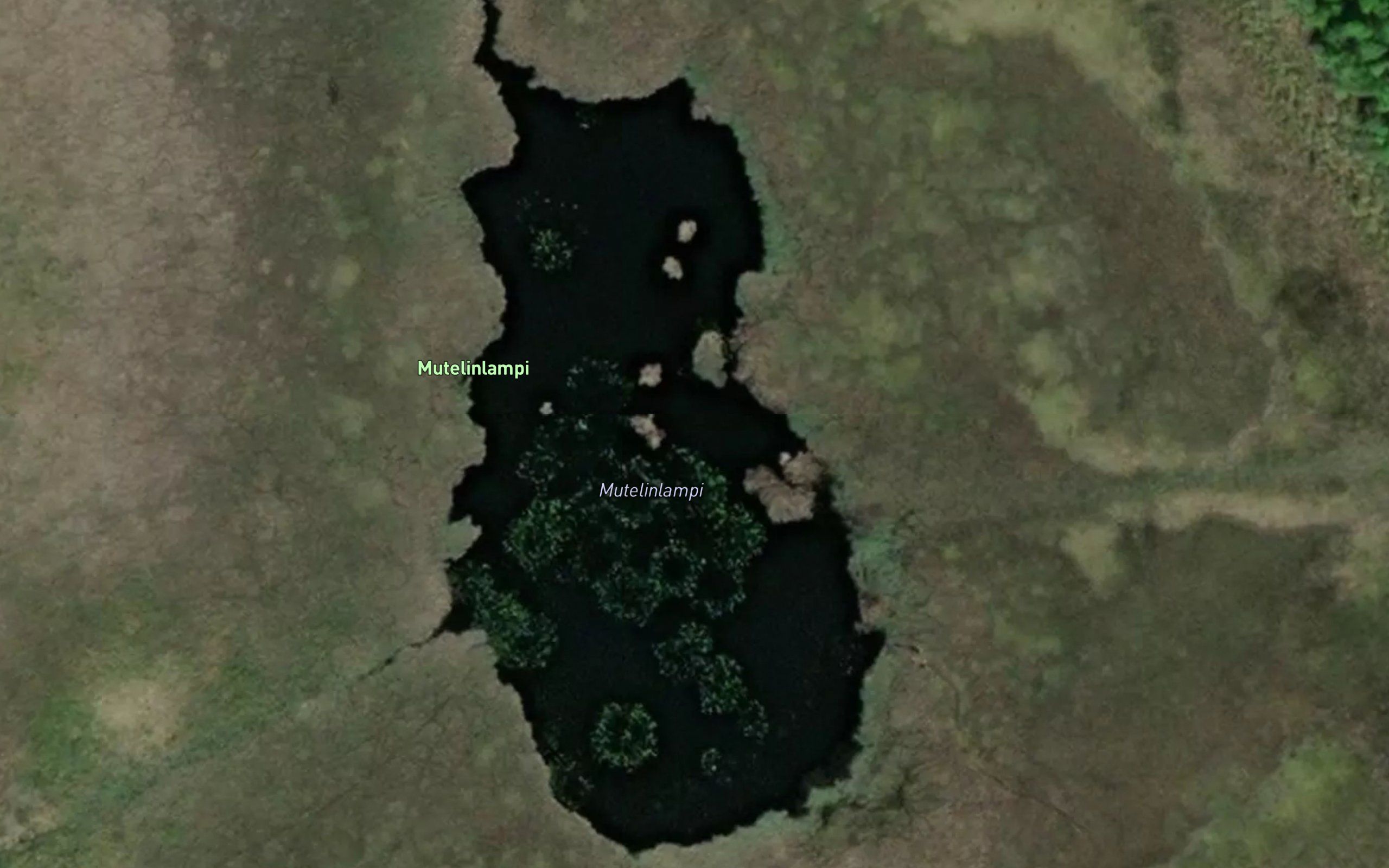 Mutelinlampi