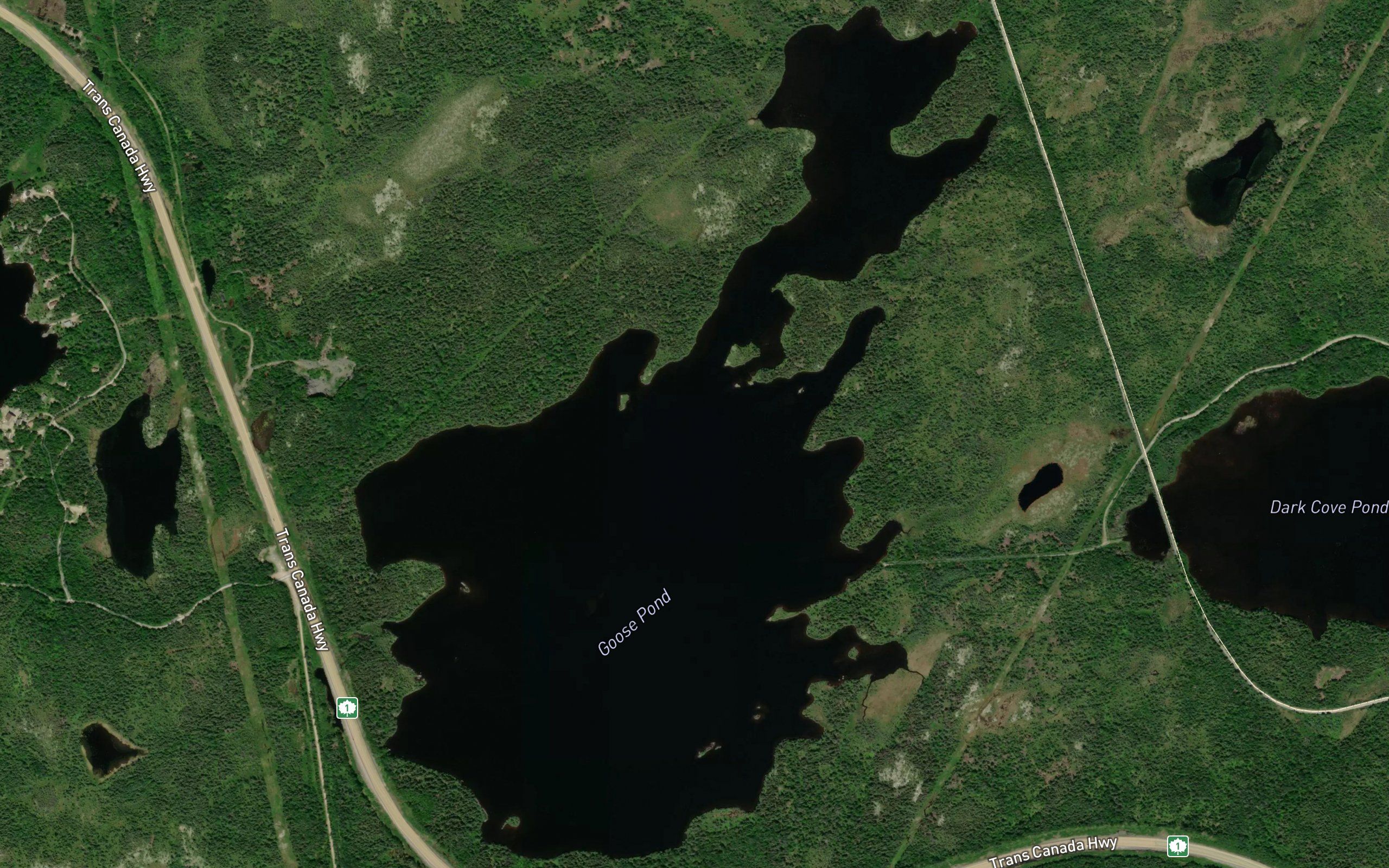 Goose Pond