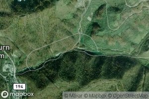 Swamp Branch