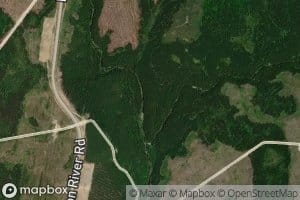 Northeast Branch Little Salmon River