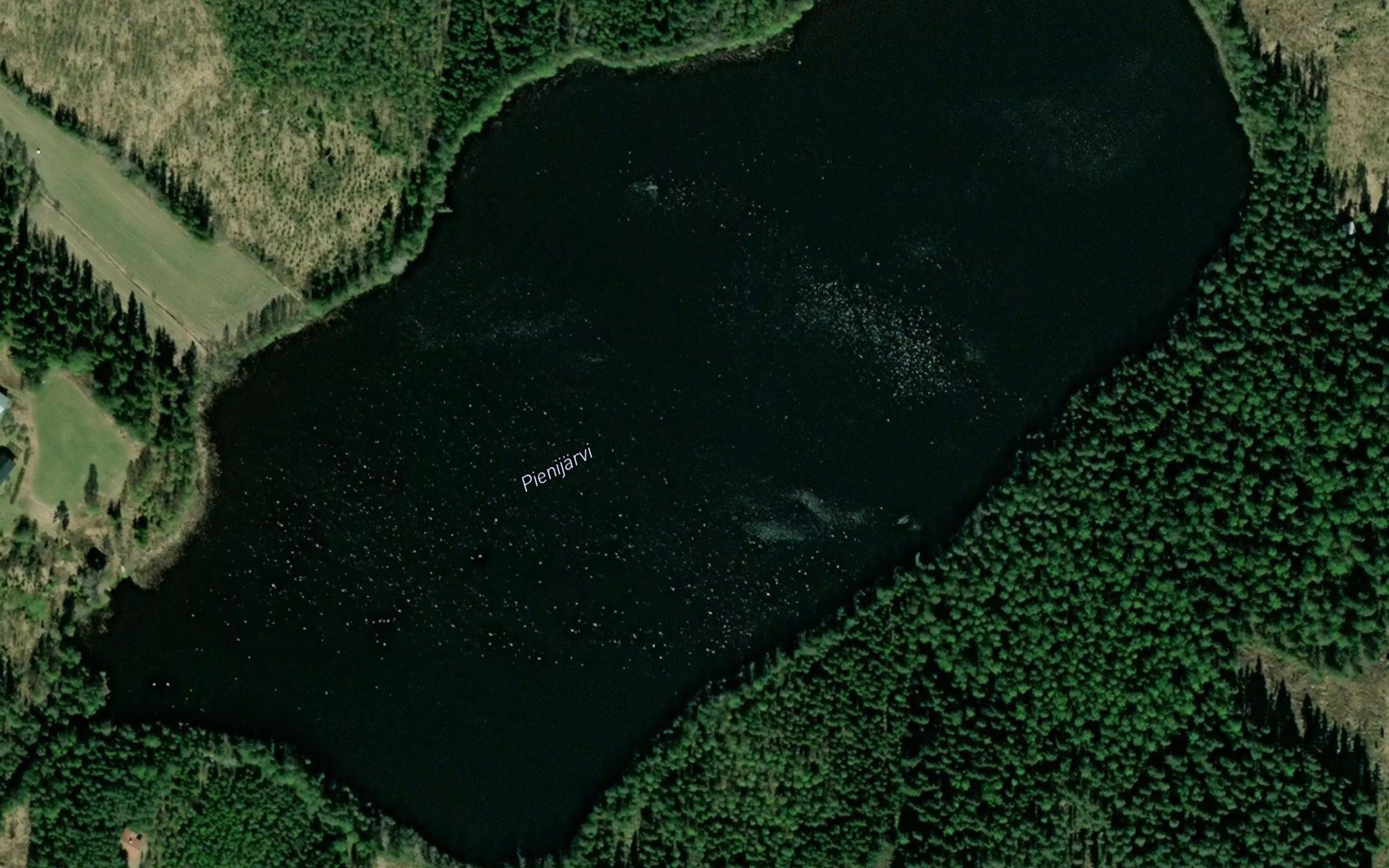 Pienijarvi