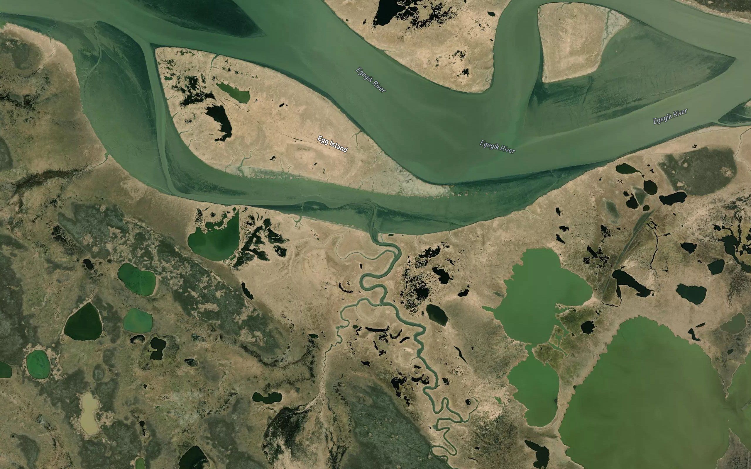 Swampy River
