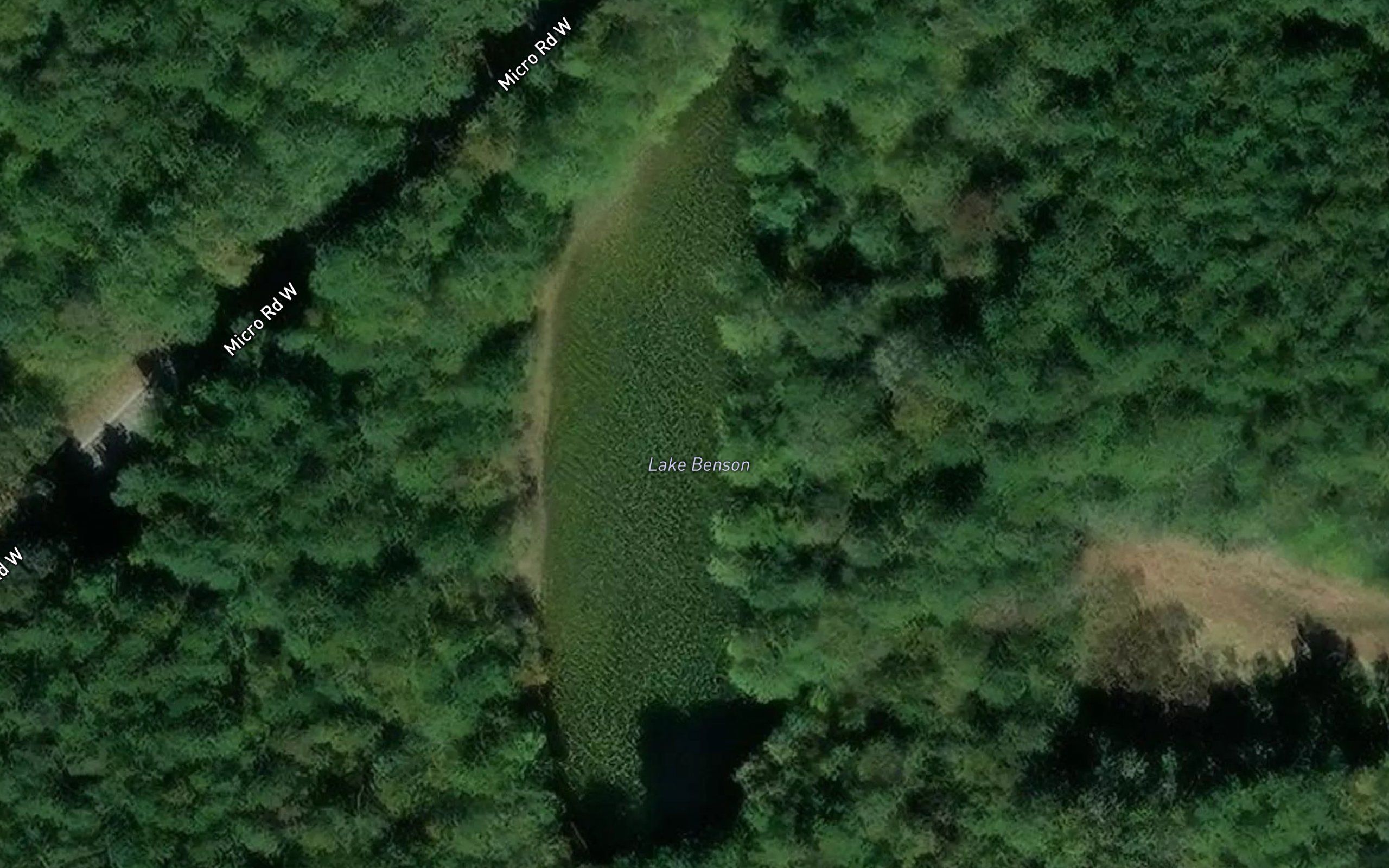 Lake Benson