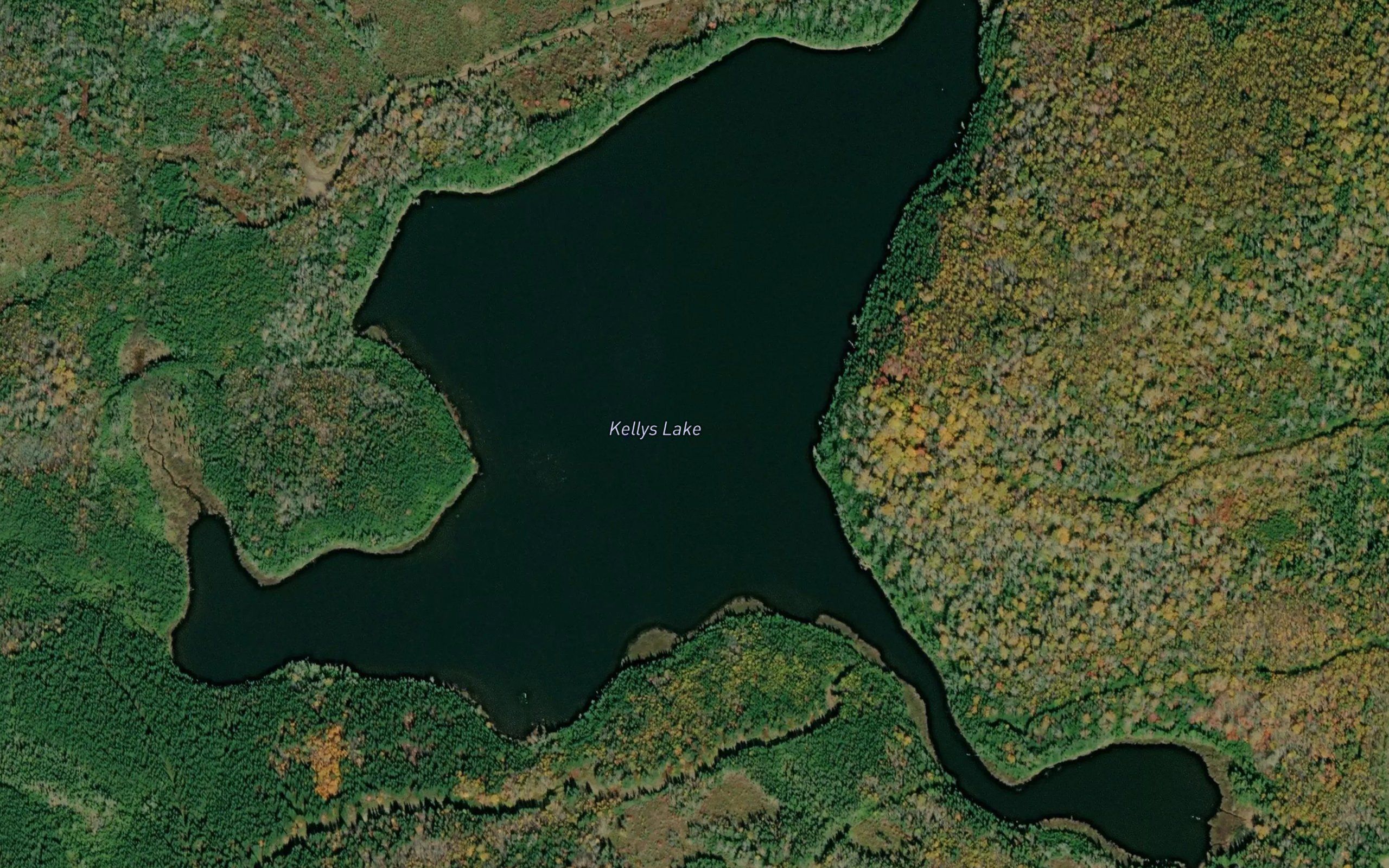 Kellys Lake