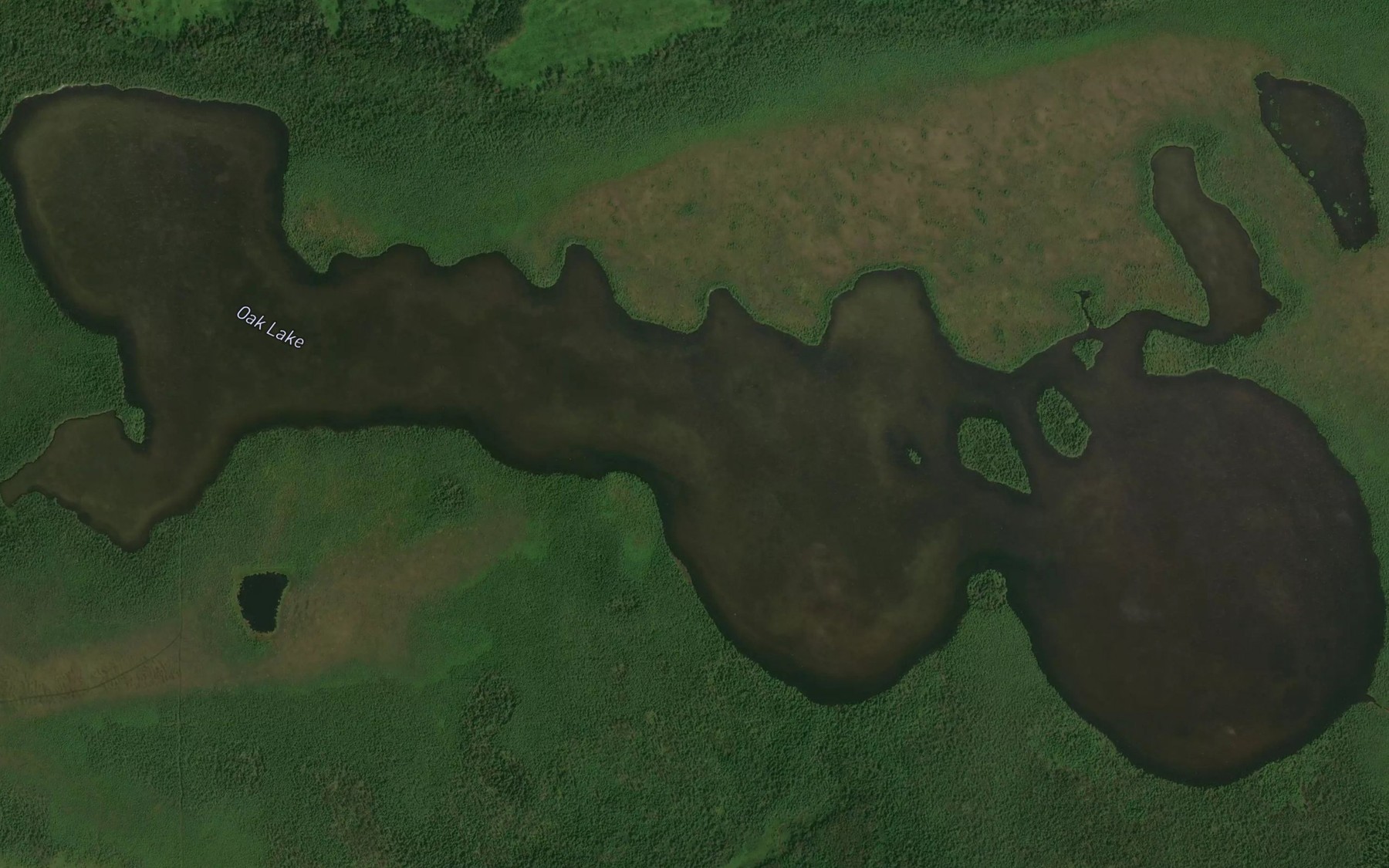 Satellite map of the Oak Lake