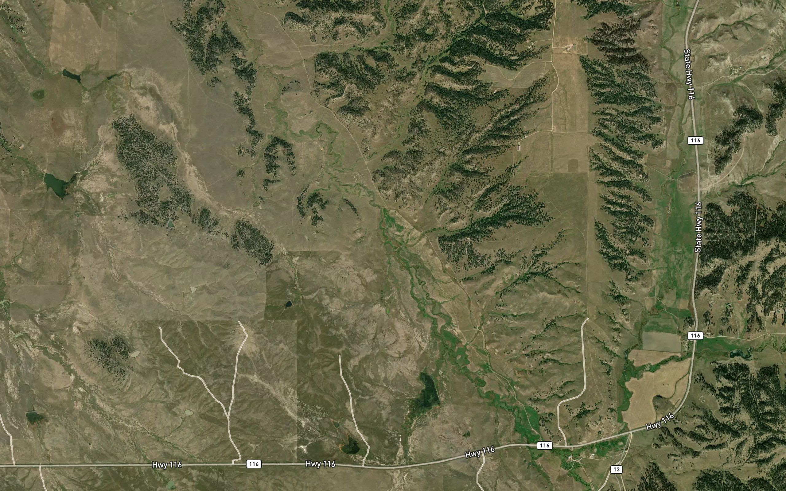 Sage Creek