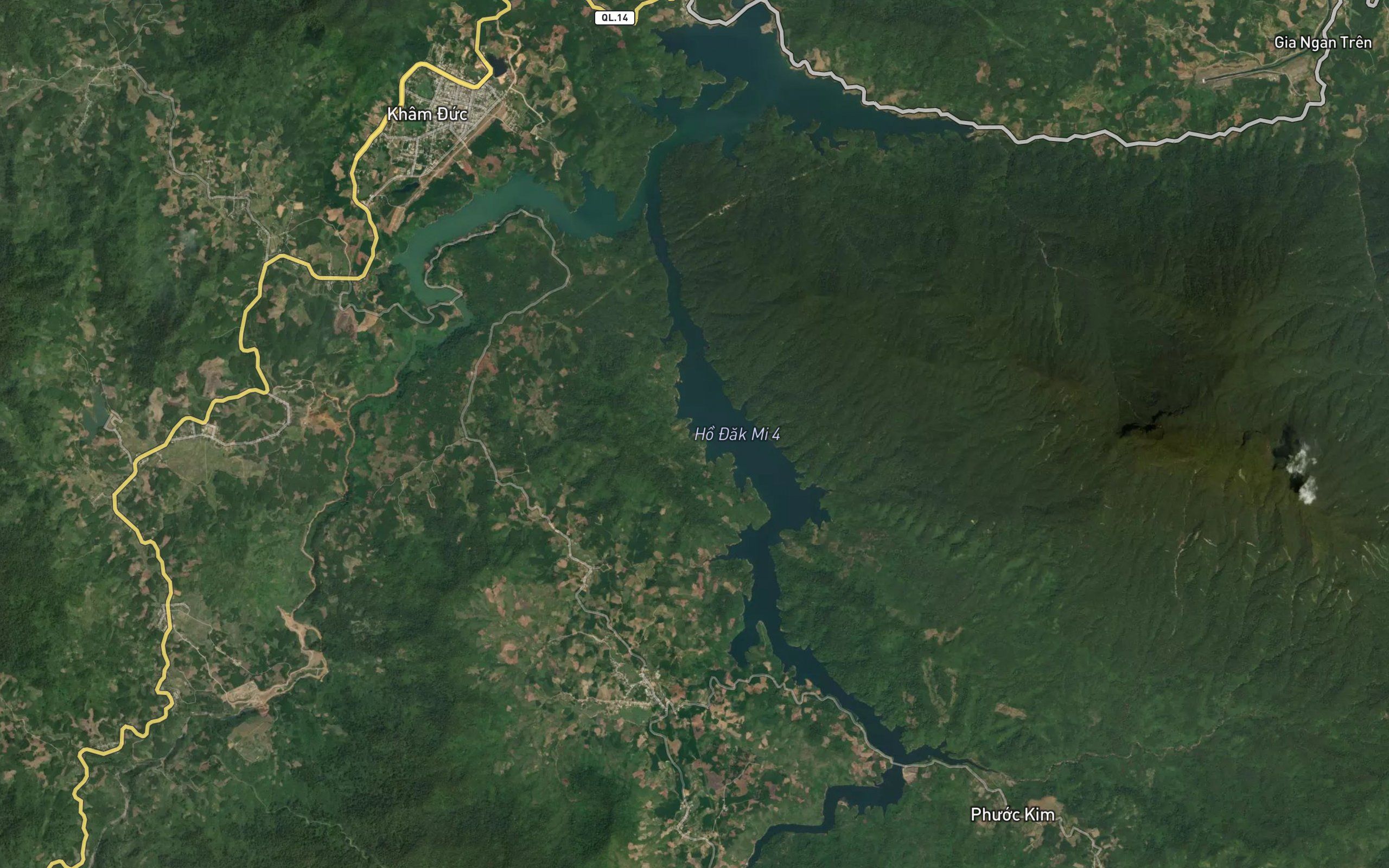 Dak Mi