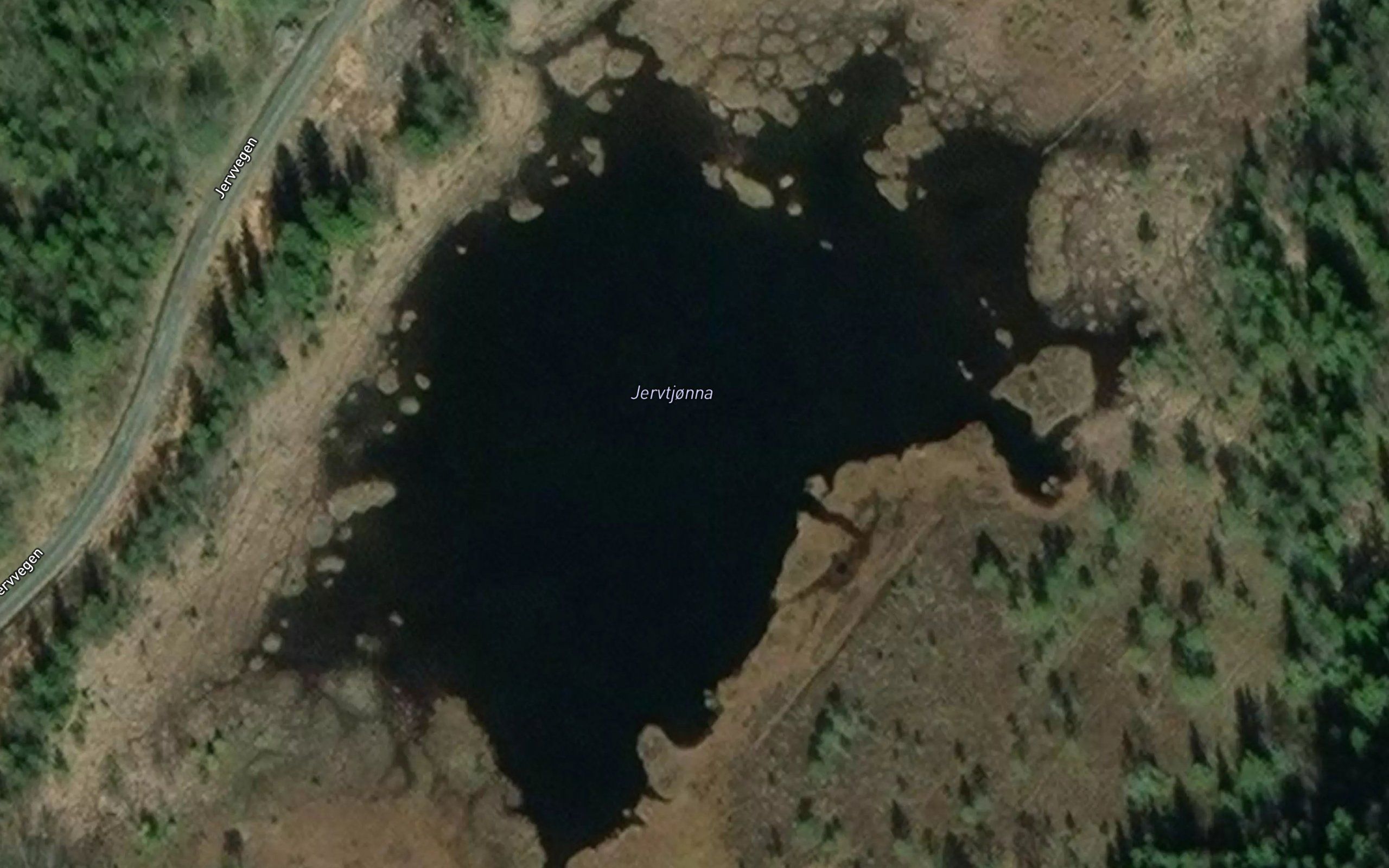 Jervtjorna