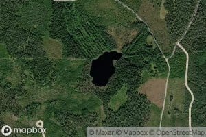 Heinalampi