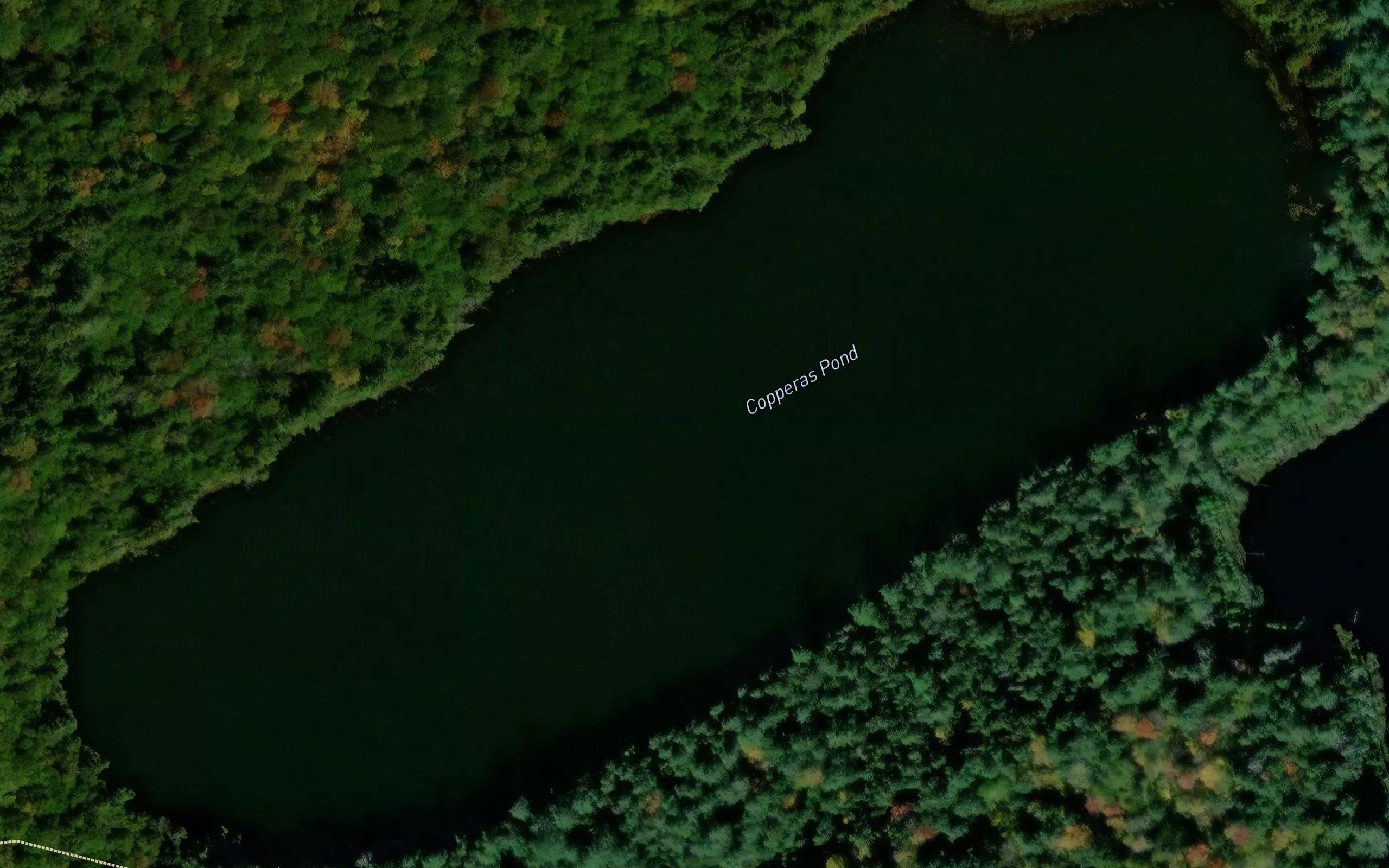 Copperas Pond