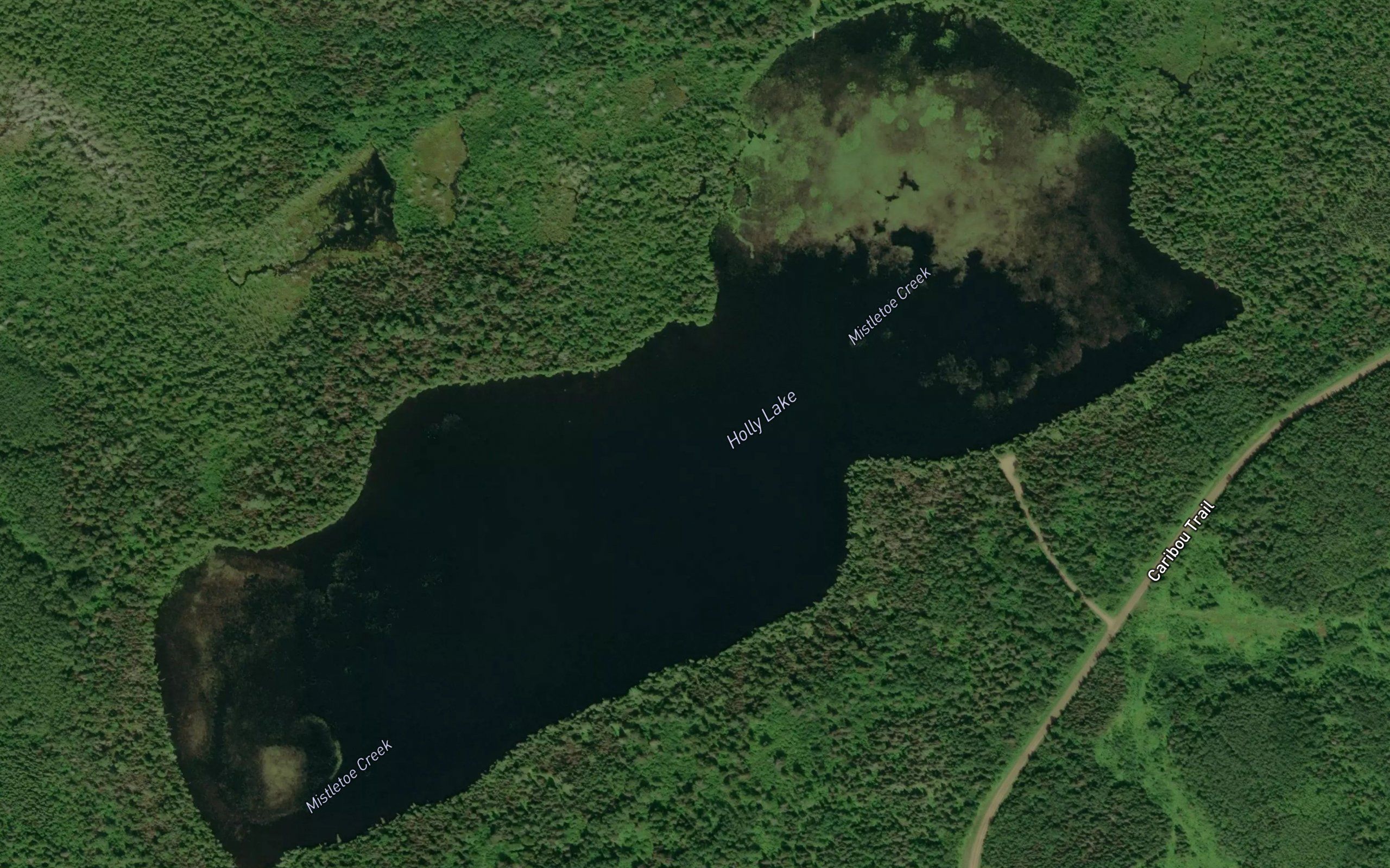 Holly Lake