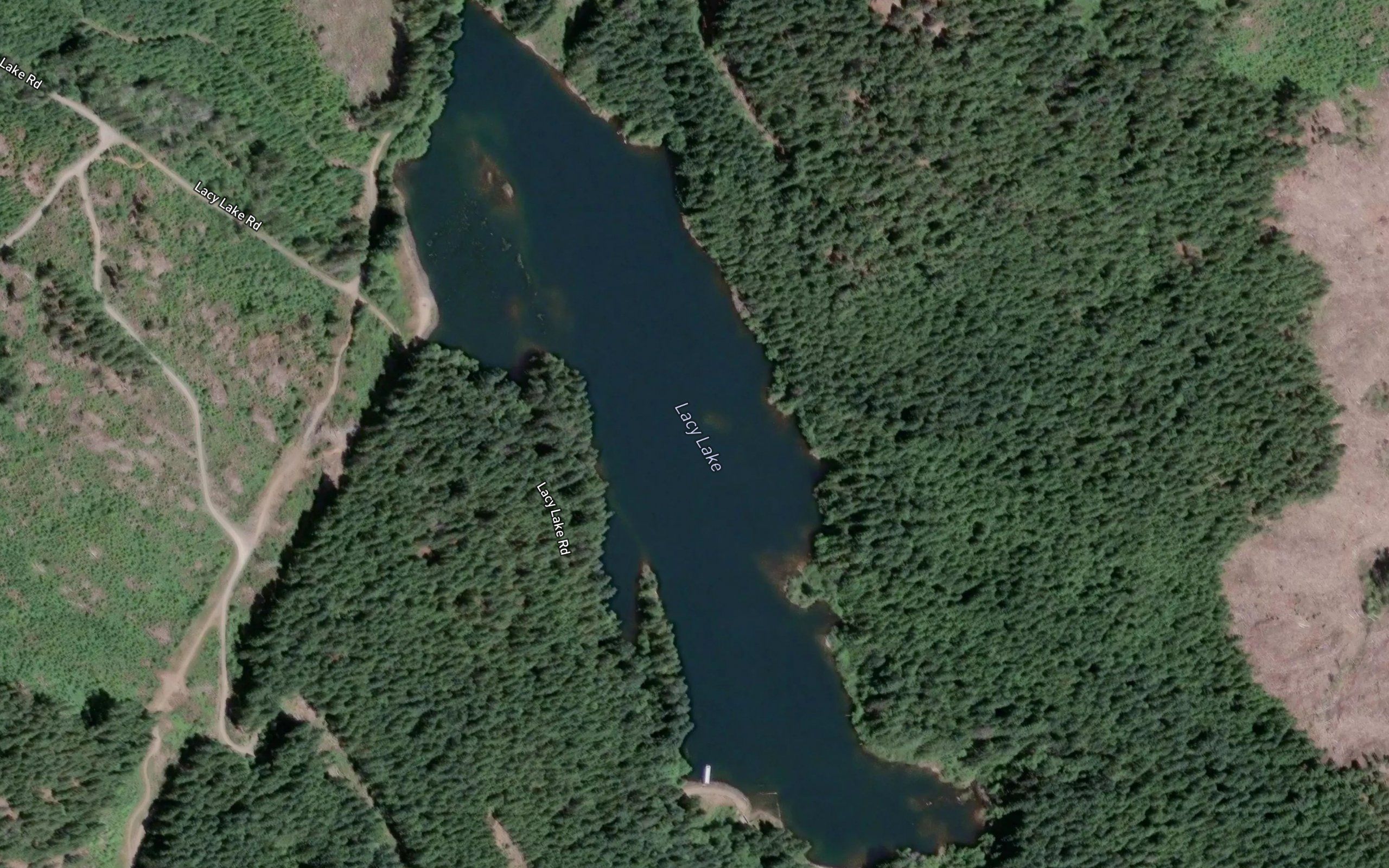 Lacy Lake