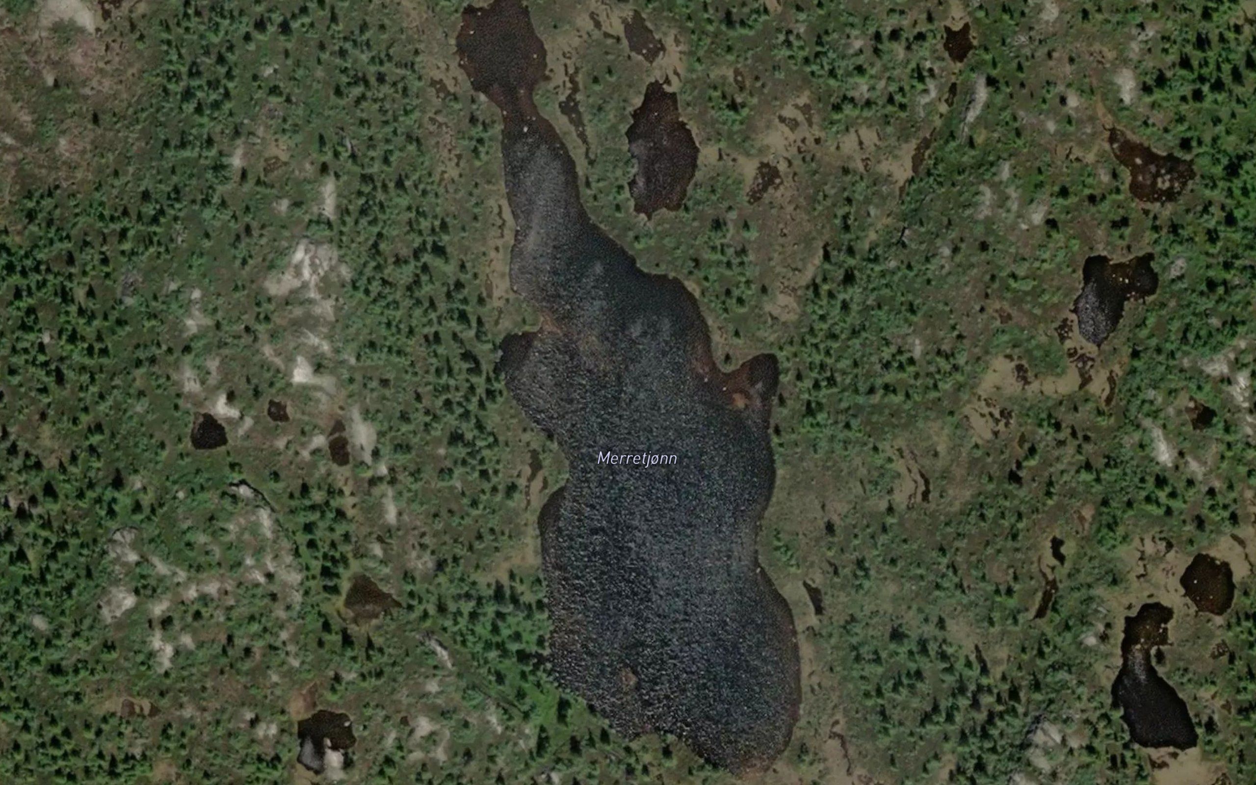 Merratjorni