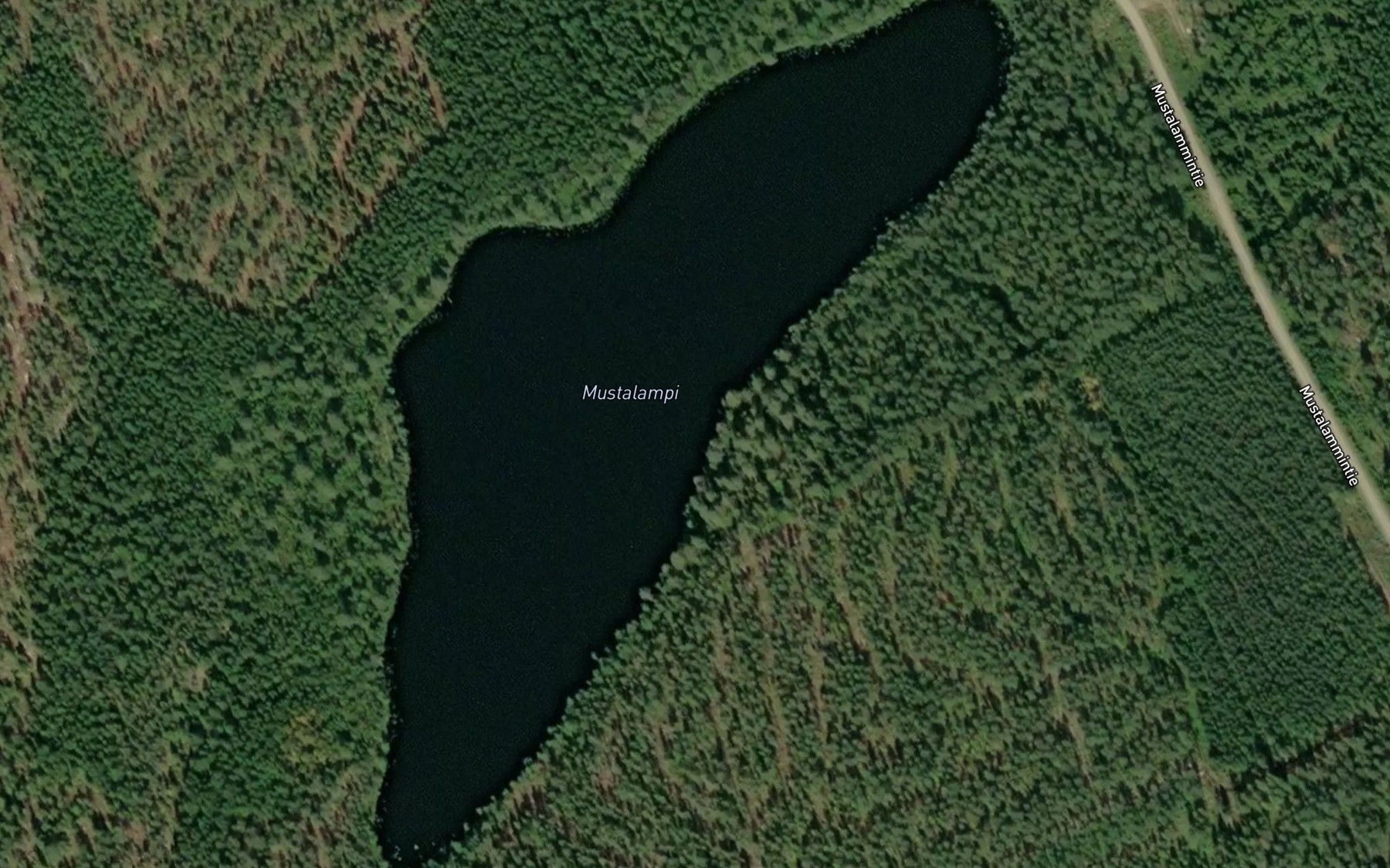 Satellite map of the Mustalampi