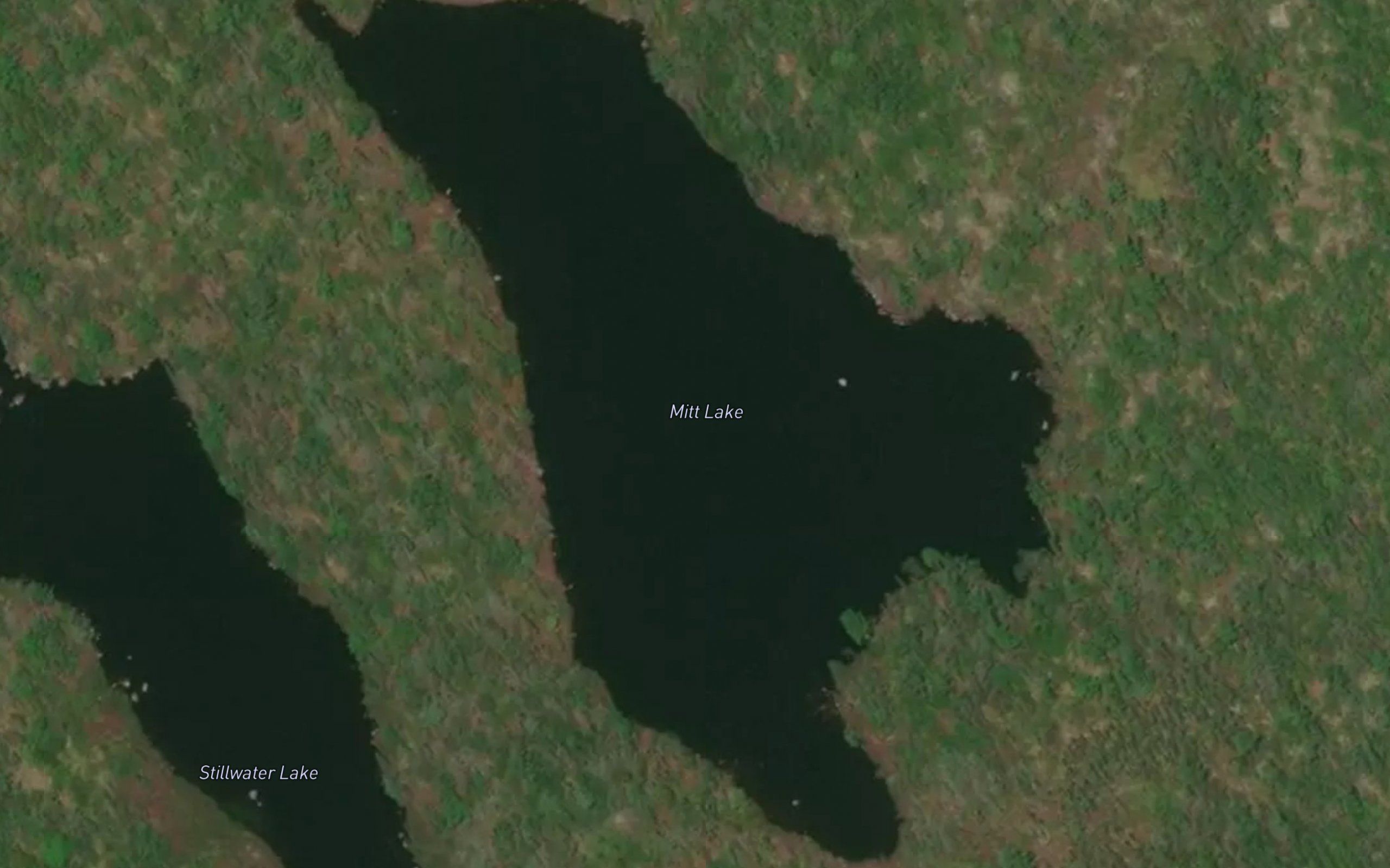 Mitt Lake