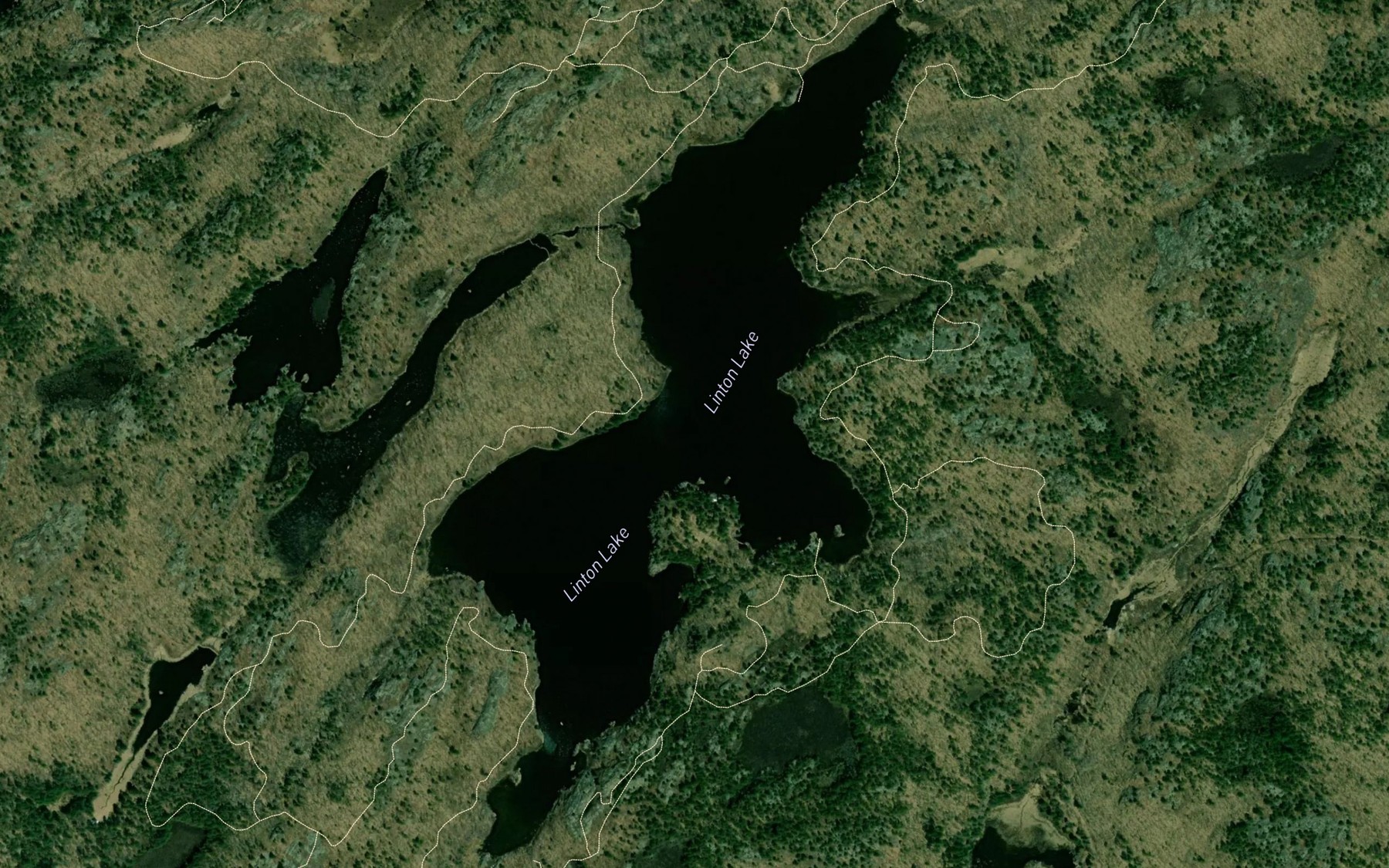 Satellite map of the Linton Lake