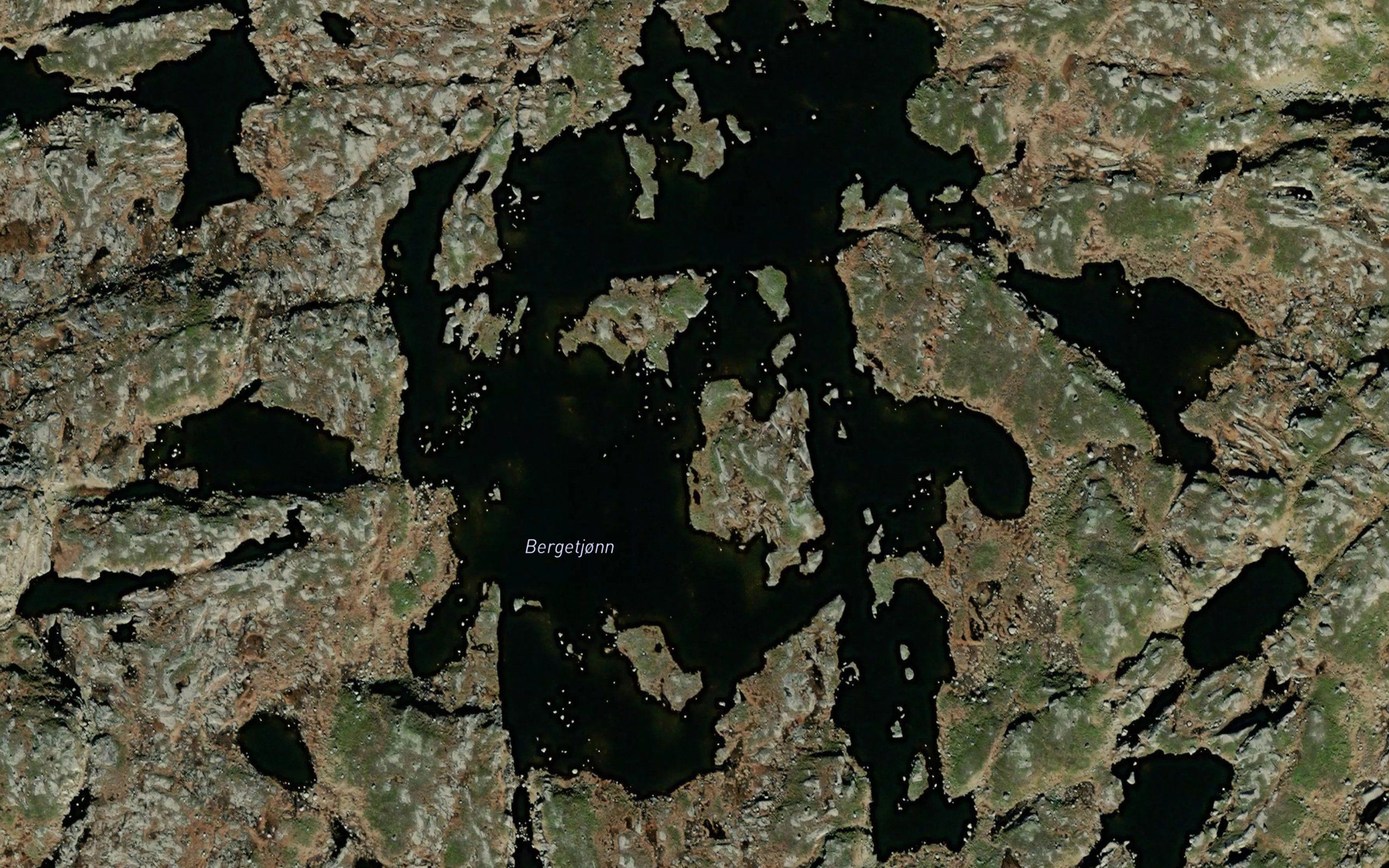 Bergetjorn