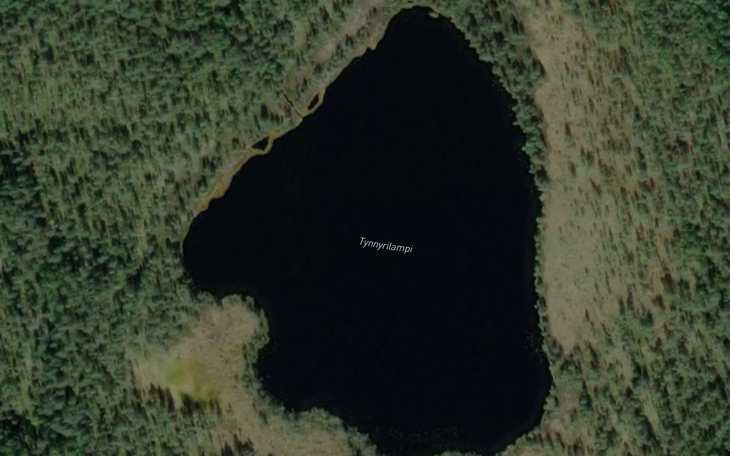 Tynnyrilampi