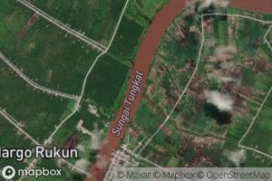 Sungai Sungsang Besar