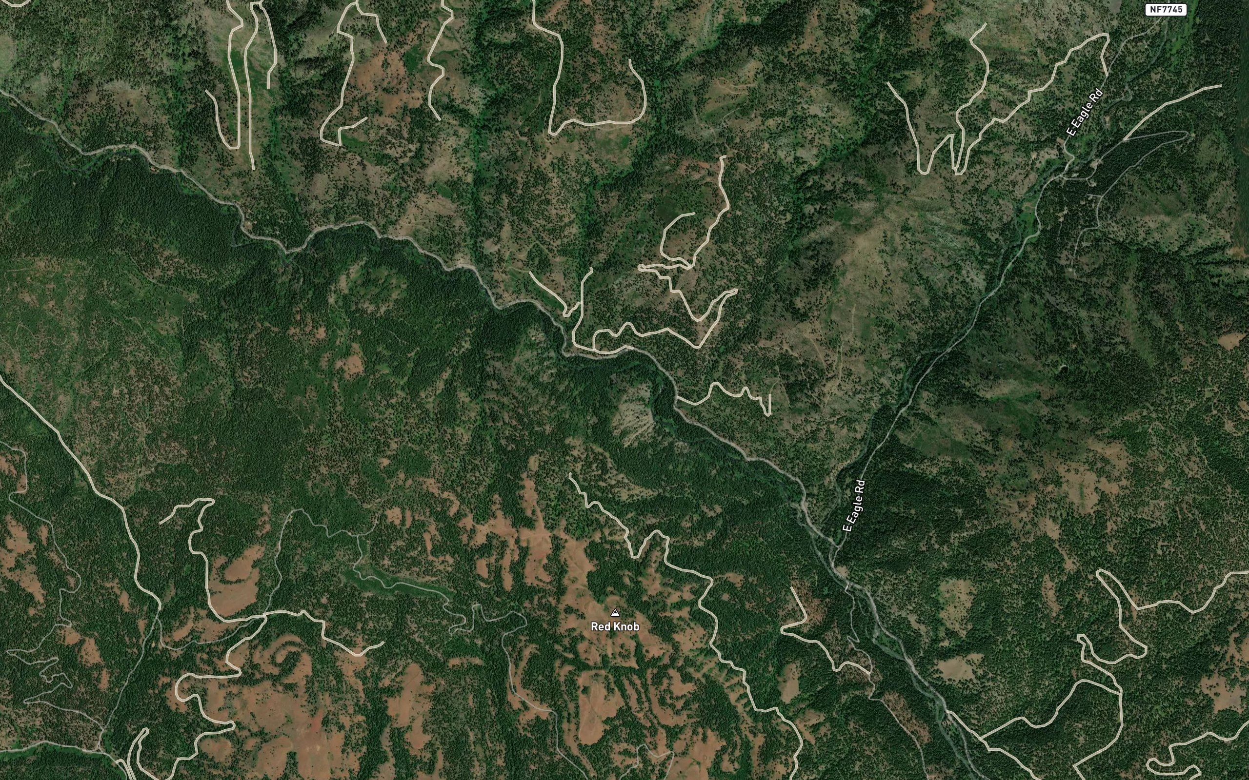 Bradley Creek