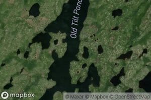 Old Tilt Pond