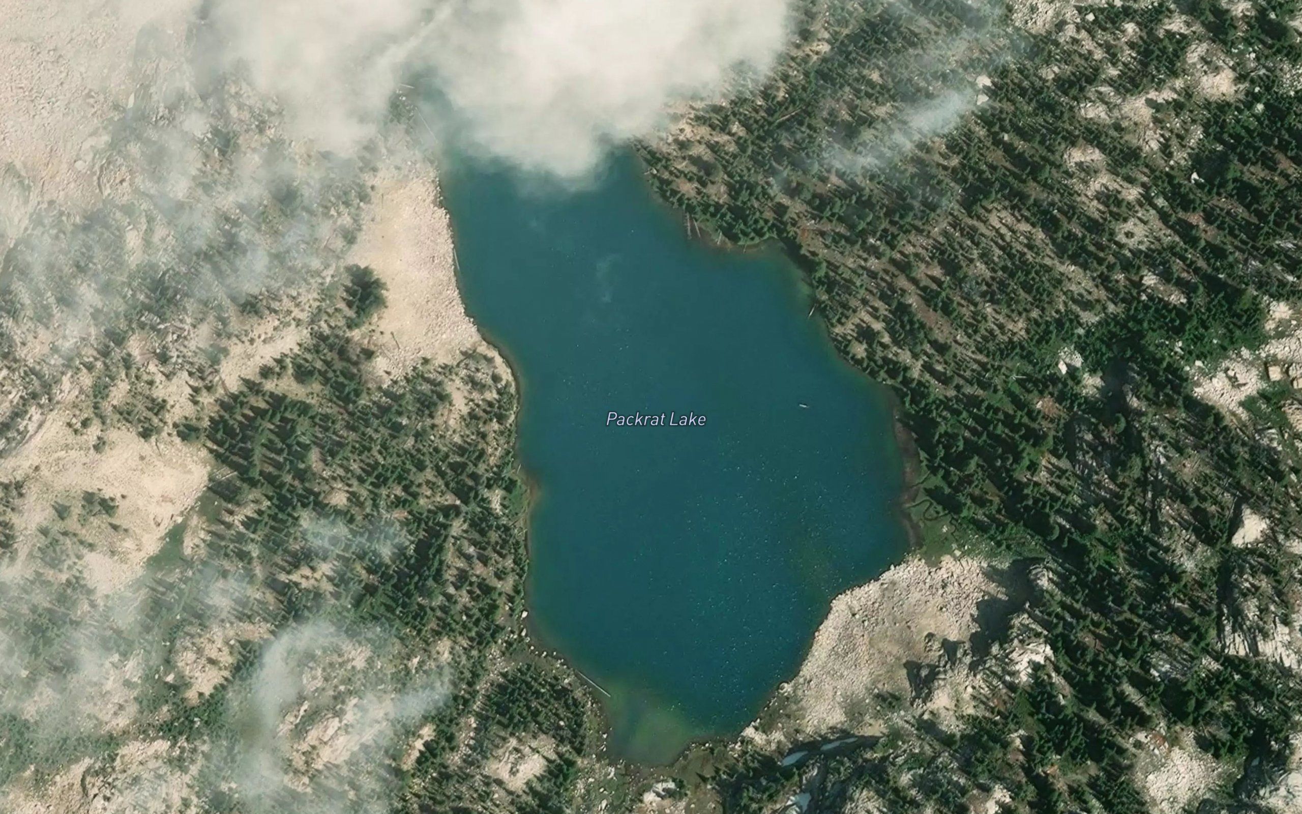 Limber Lake