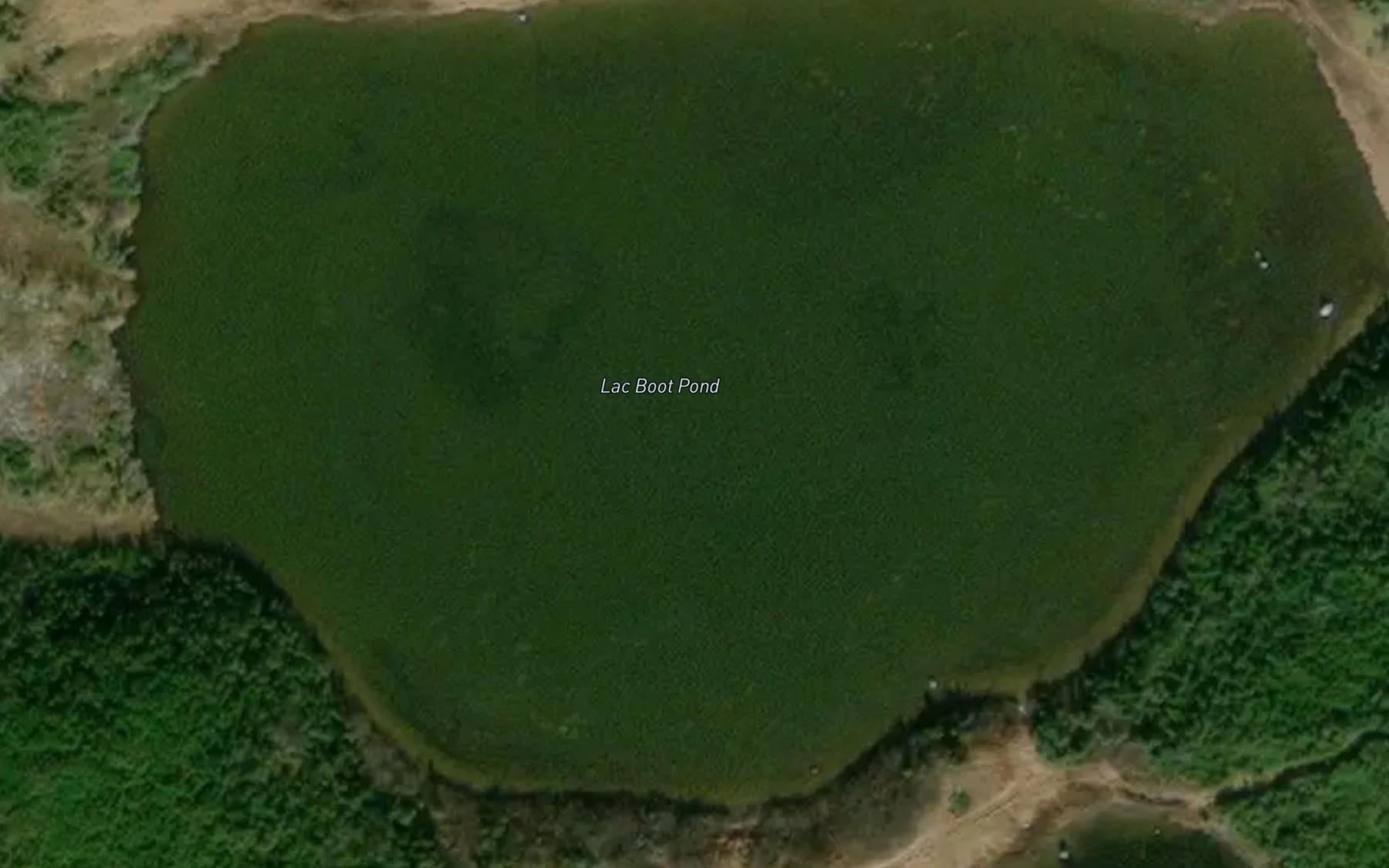 Satellite map of the Lac Boot Pond