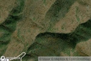 Left Prong Benson Run