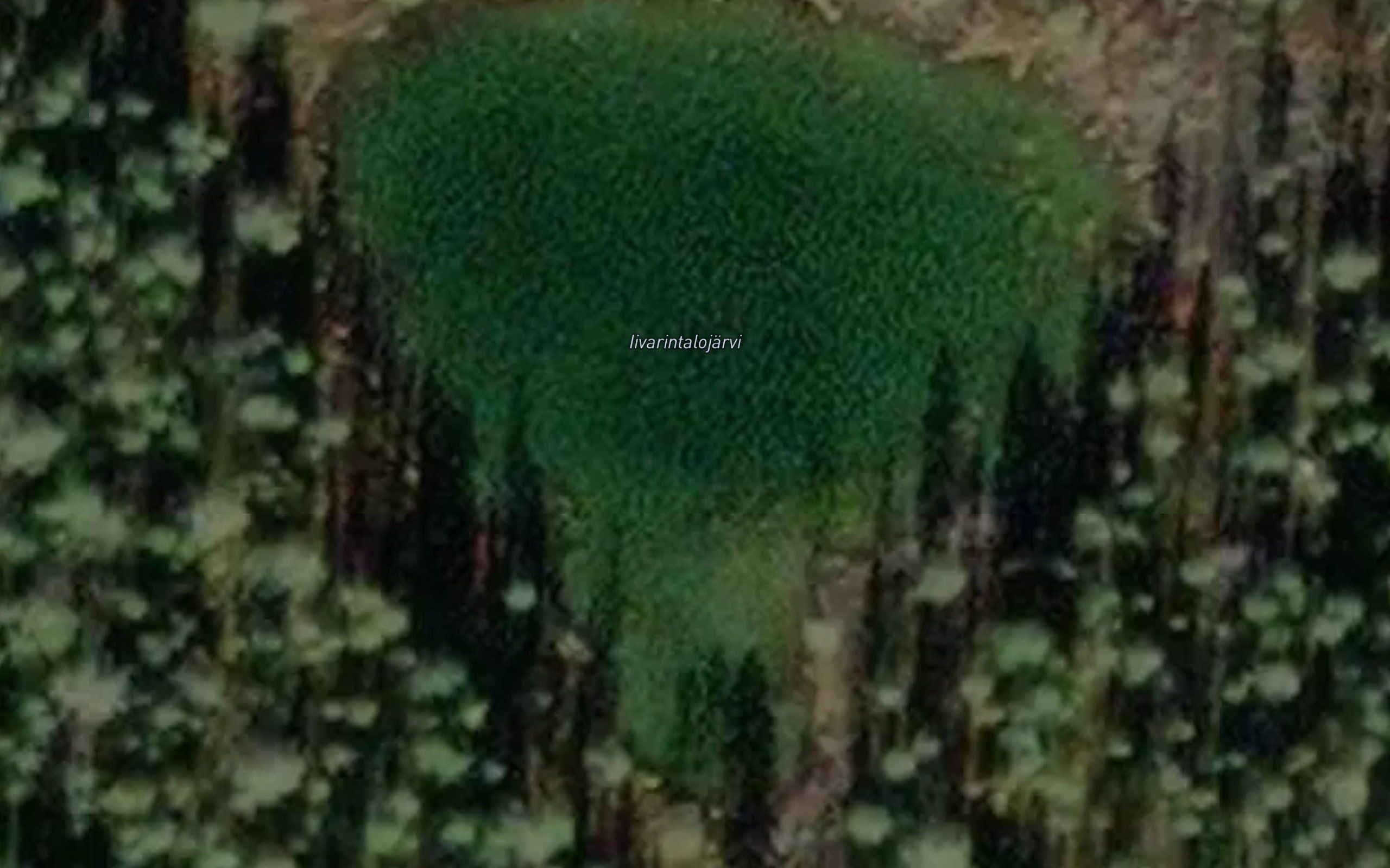 Iivarintalojarvi