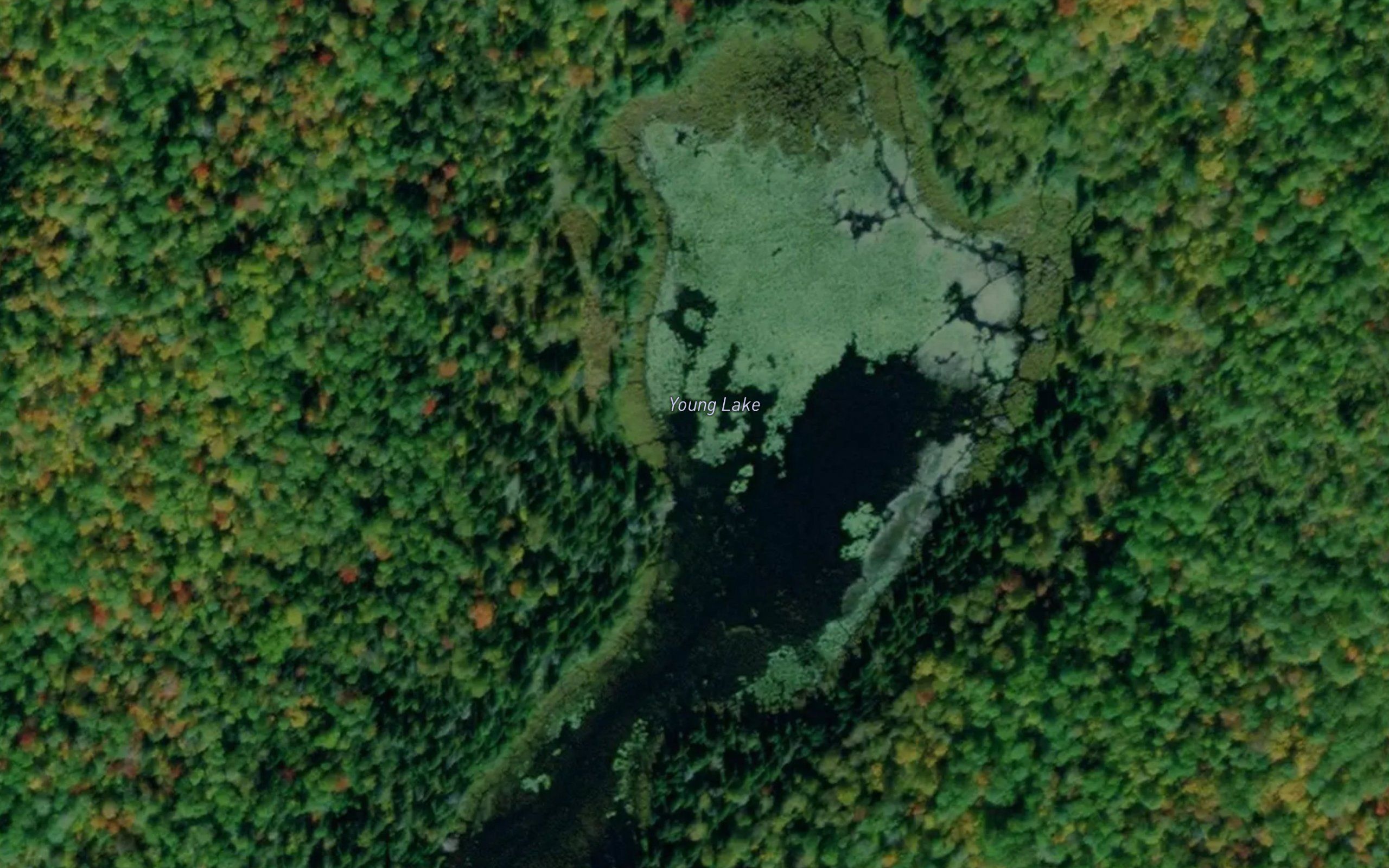 Young Lake
