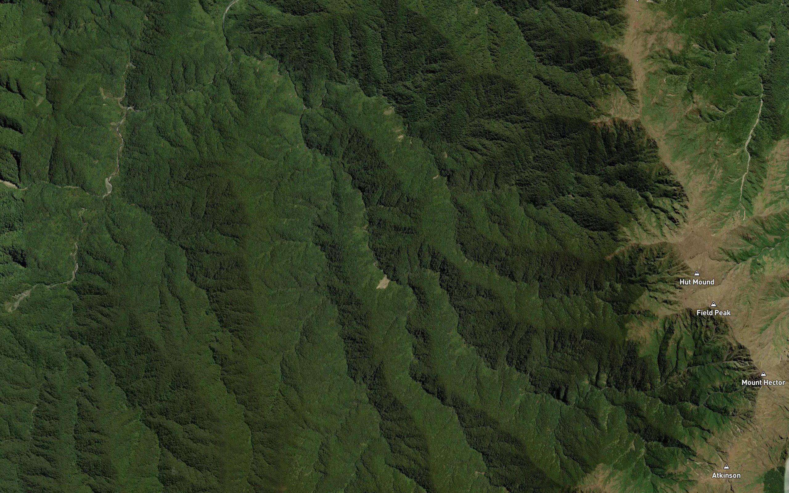 Eastern Waiotauru (Snowy) River