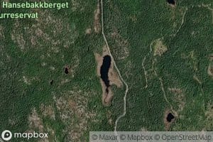 Storbekktjernet