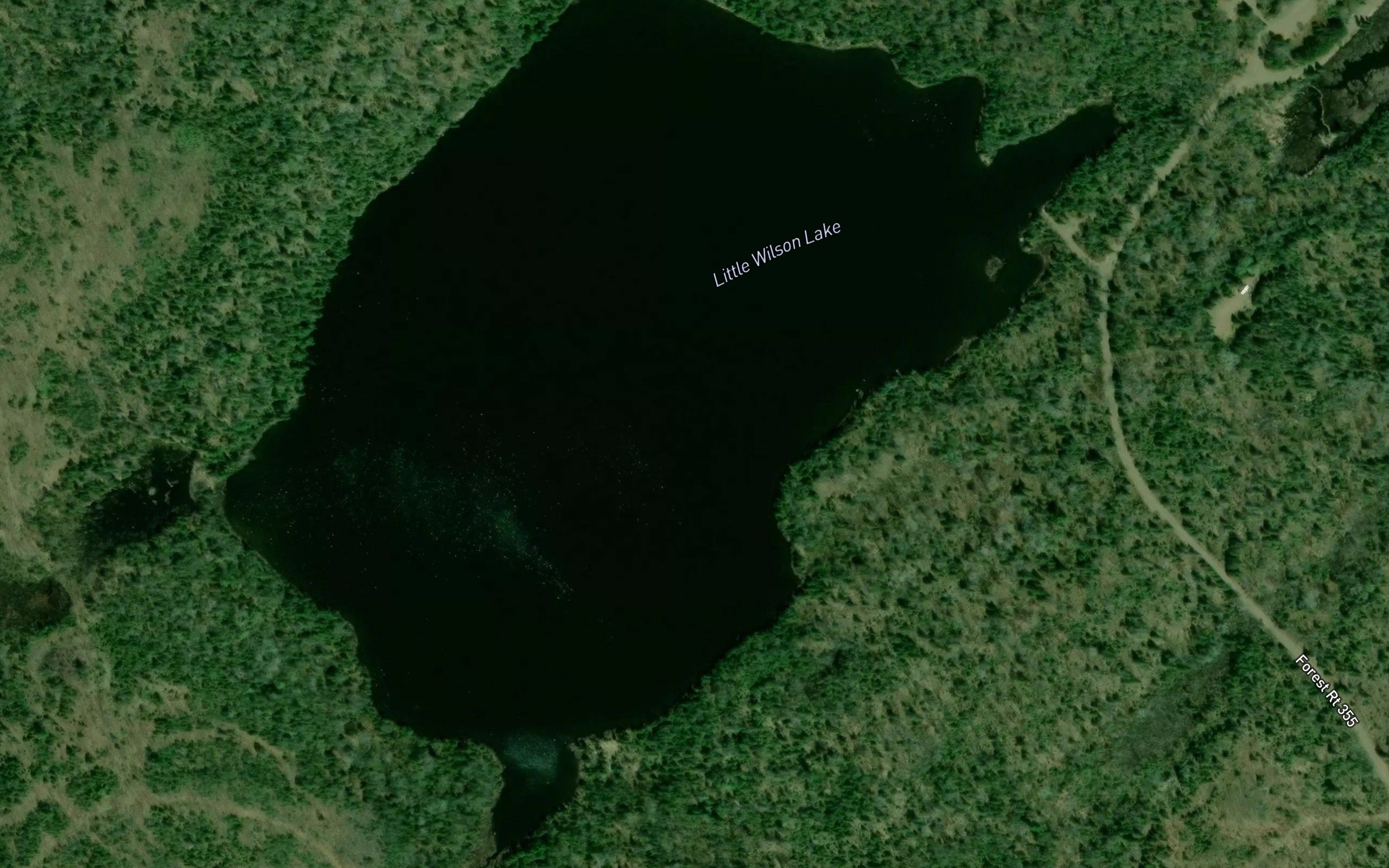 Little Wilson Lake