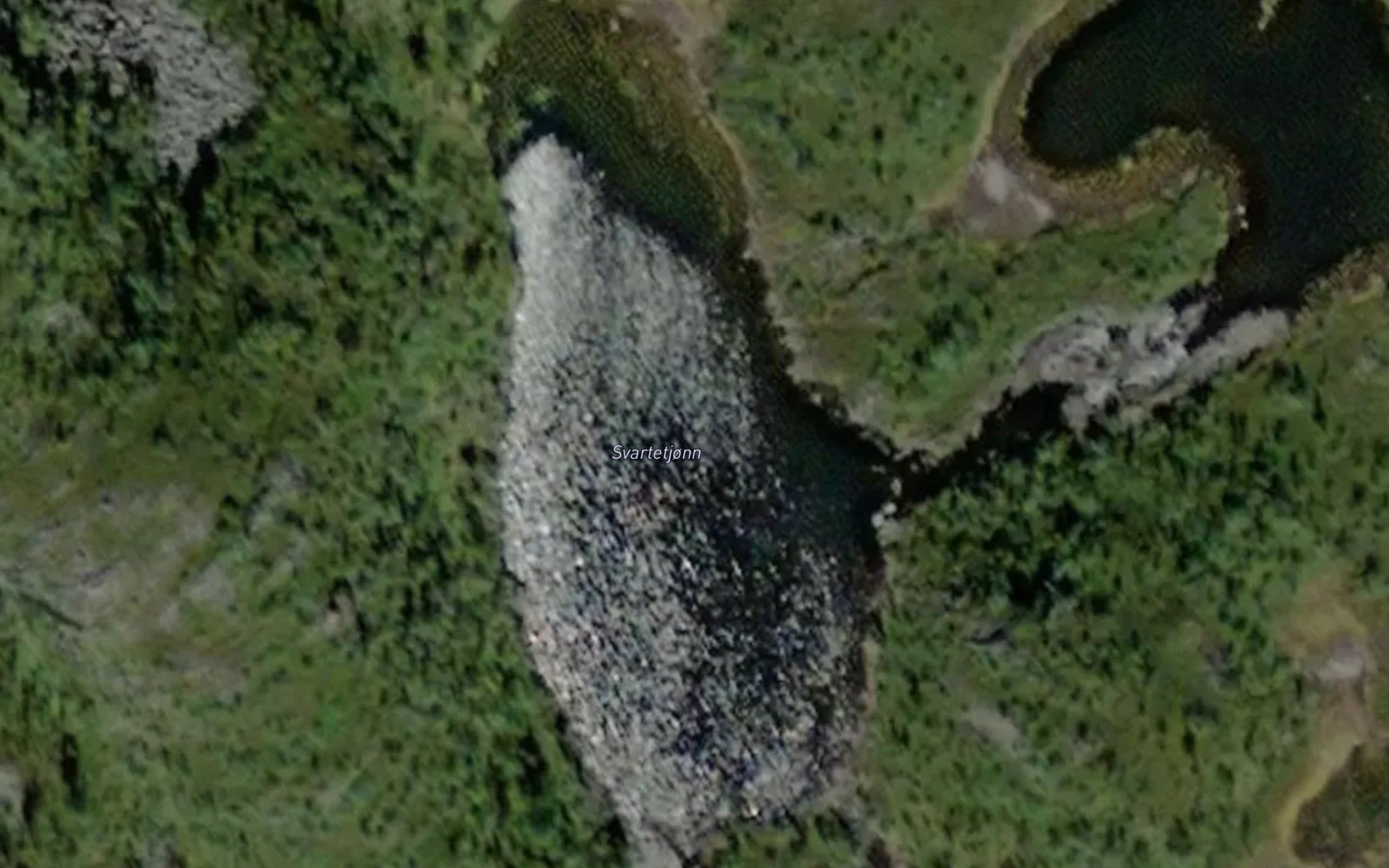 Svartetjonn