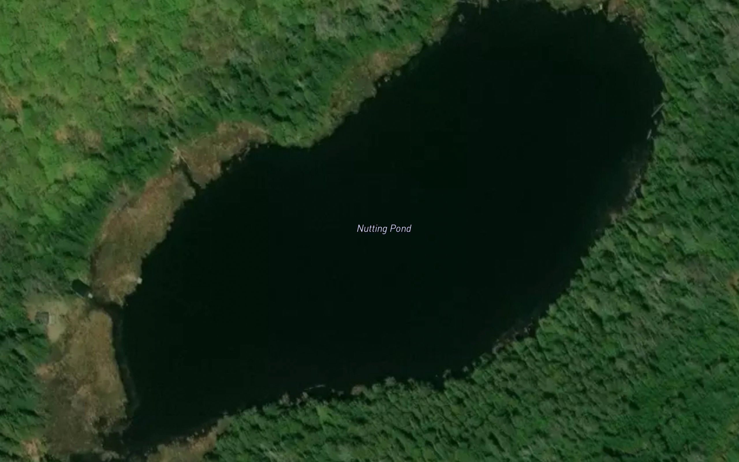 Nutting Pond