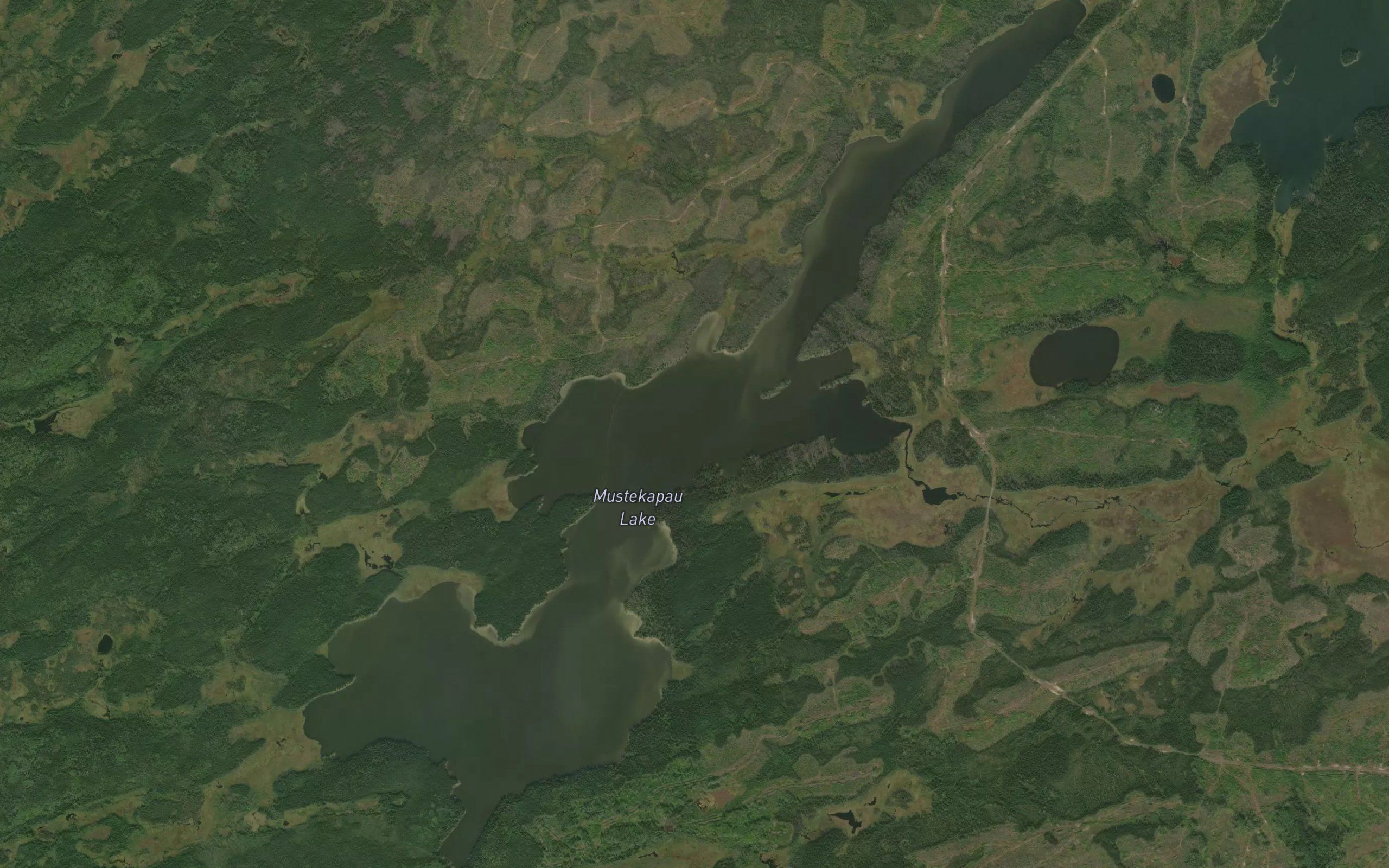 Mustekapau Lake