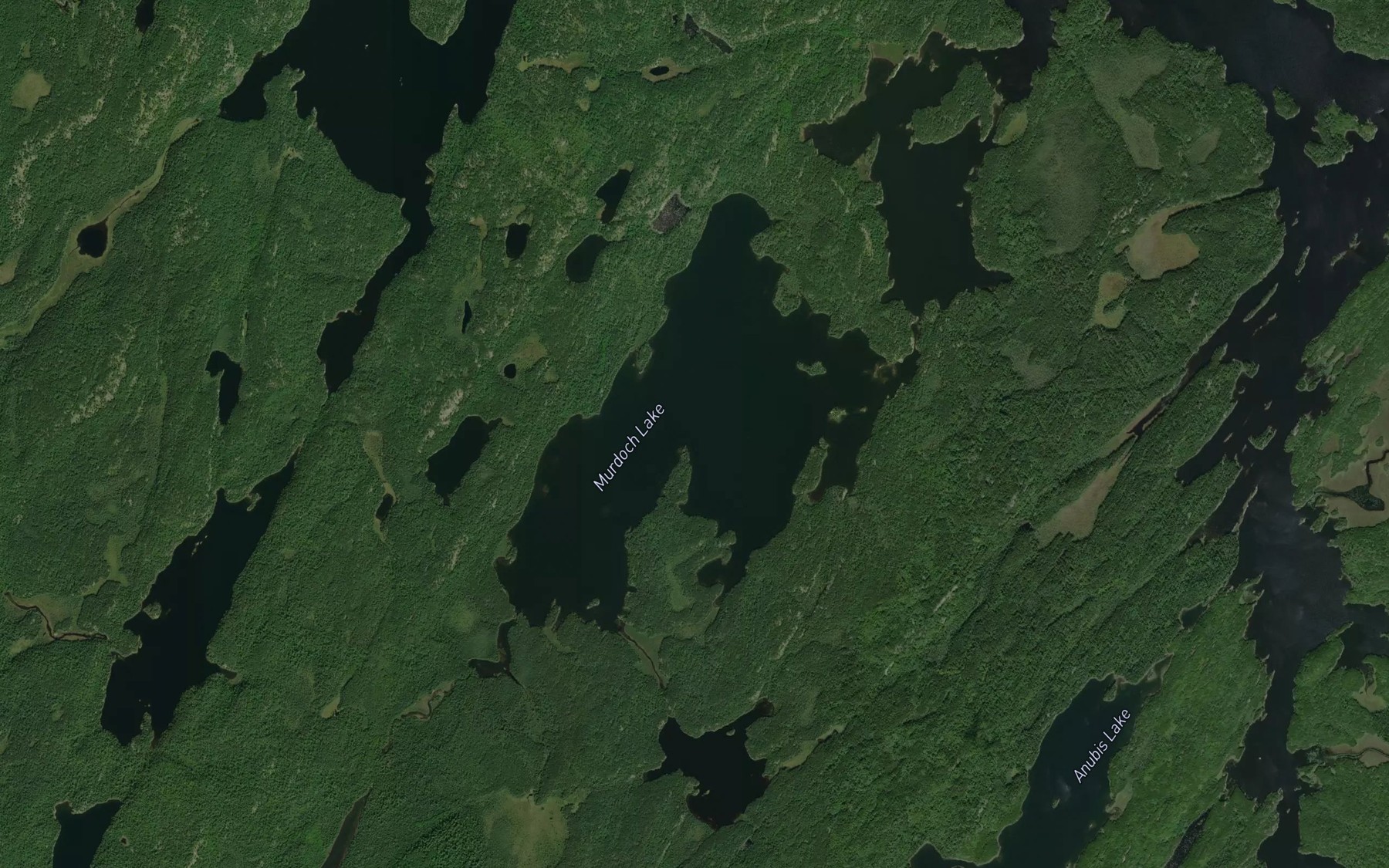 Satellite map of the Murdoch Lake