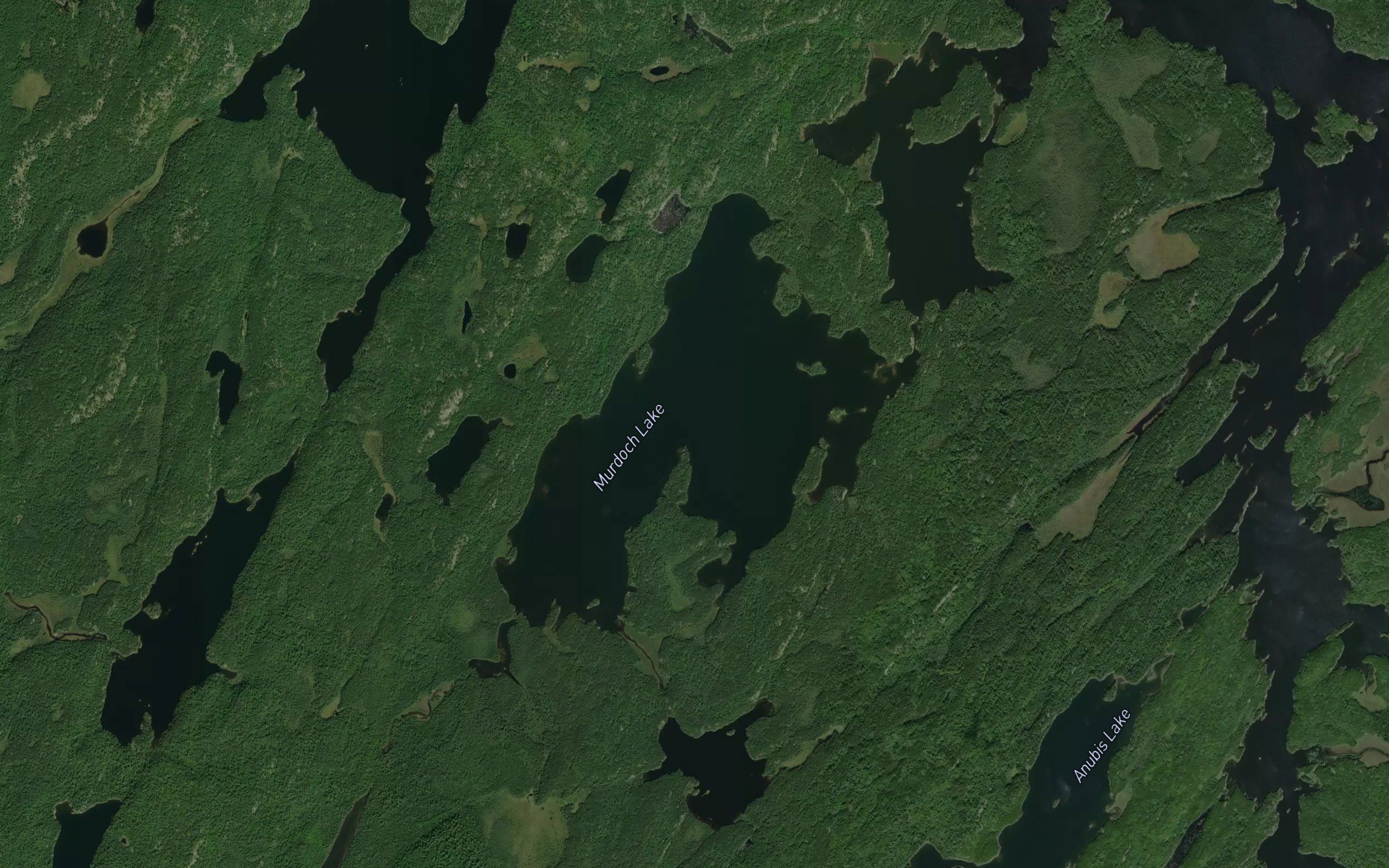 Murdoch Lake