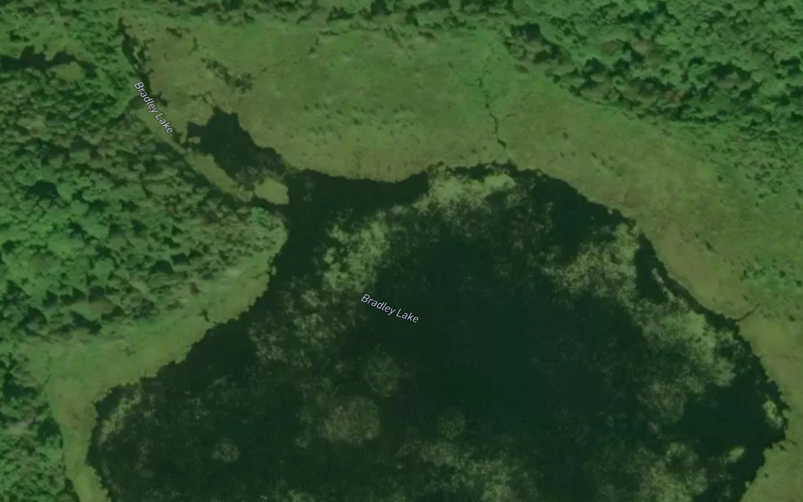 Bradley Lake