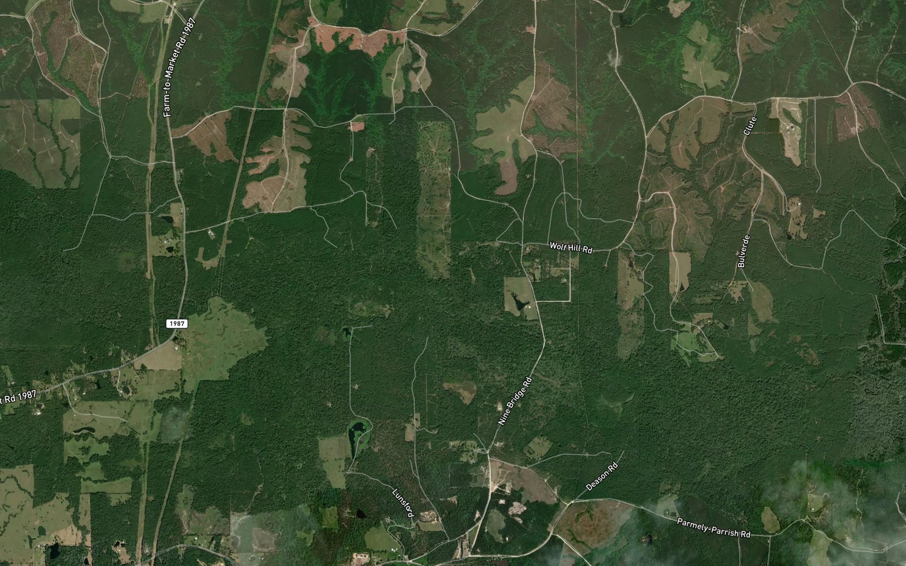 Satellite map of the Big Branch