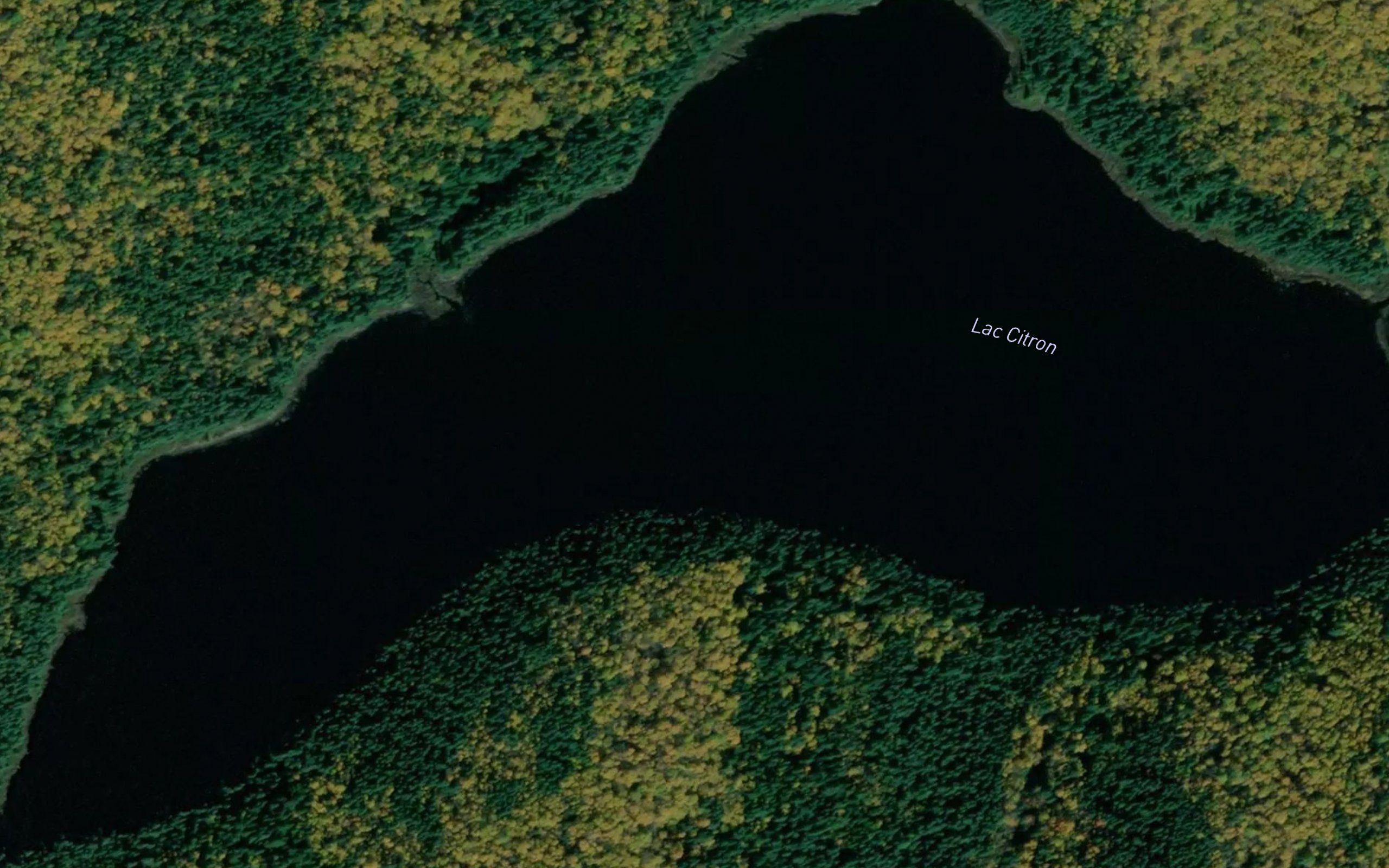 Lac Citron