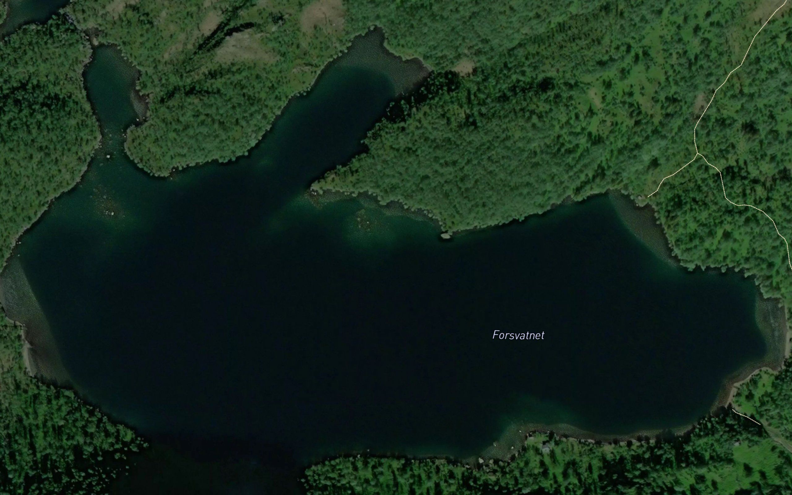 Forsvatnet