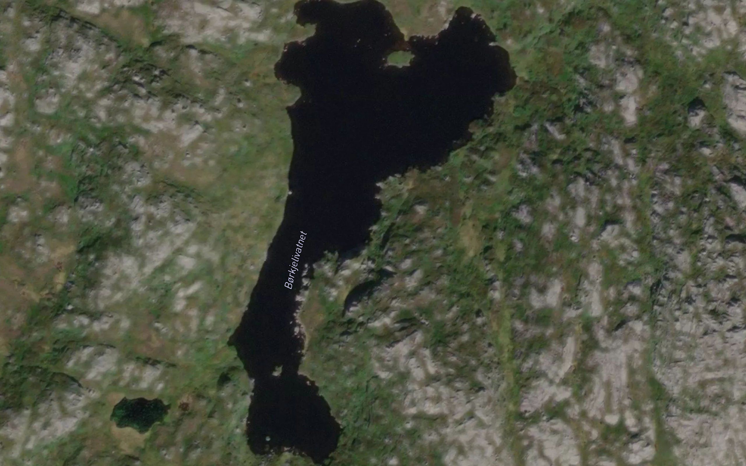 Borkjelivatnet